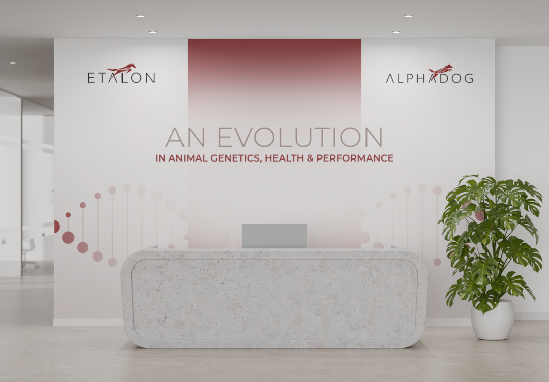 Tradeshow Booth Backdrop Display