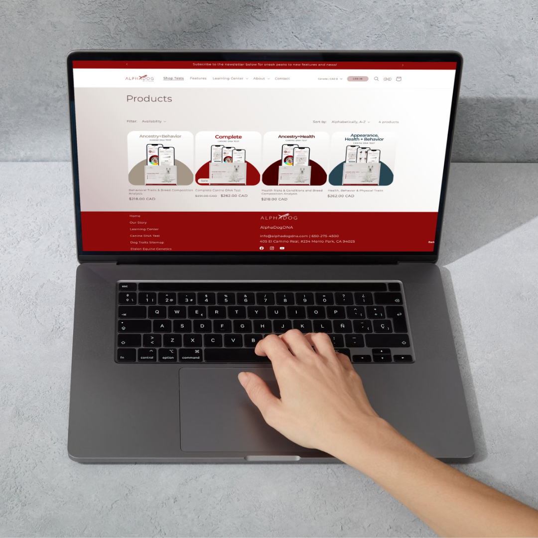 Custom Shopify E-Commerce Web Design