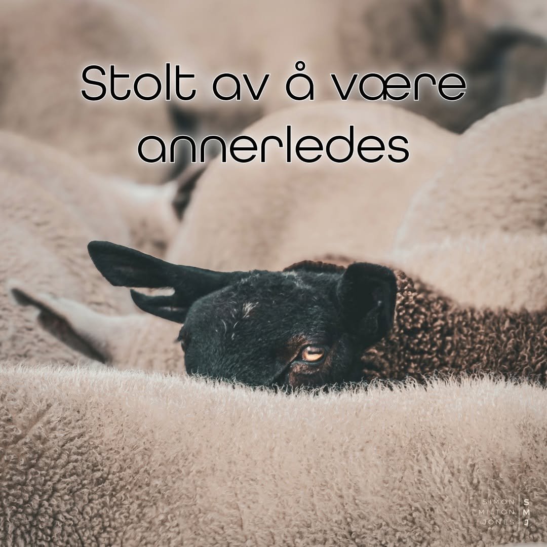 Dere er kanskje mine favoritt-raringer