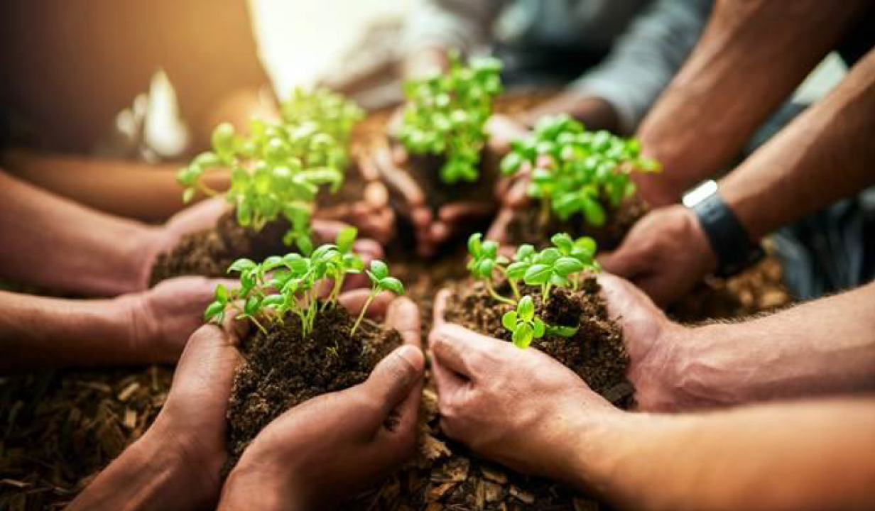 Physics, Philosophy &amp; Practice—A Leader’s Guide to Flourishing Futures