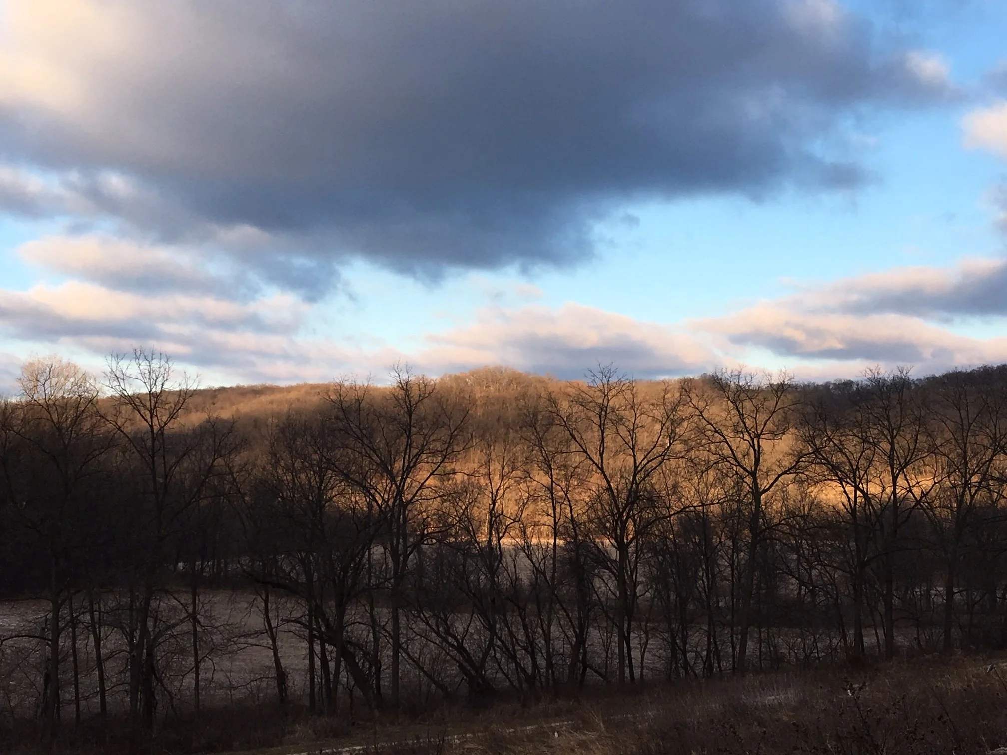 HEAL 1 In-Person: Leading with Energy and Connection