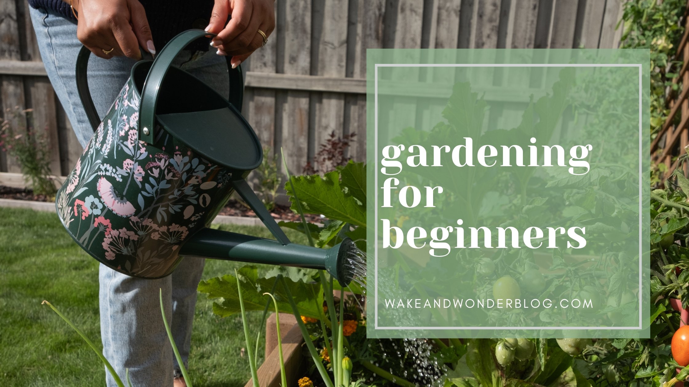 Backyard Beginnings: Gardening for Beginners & What We’re Doing Differently in Year Two