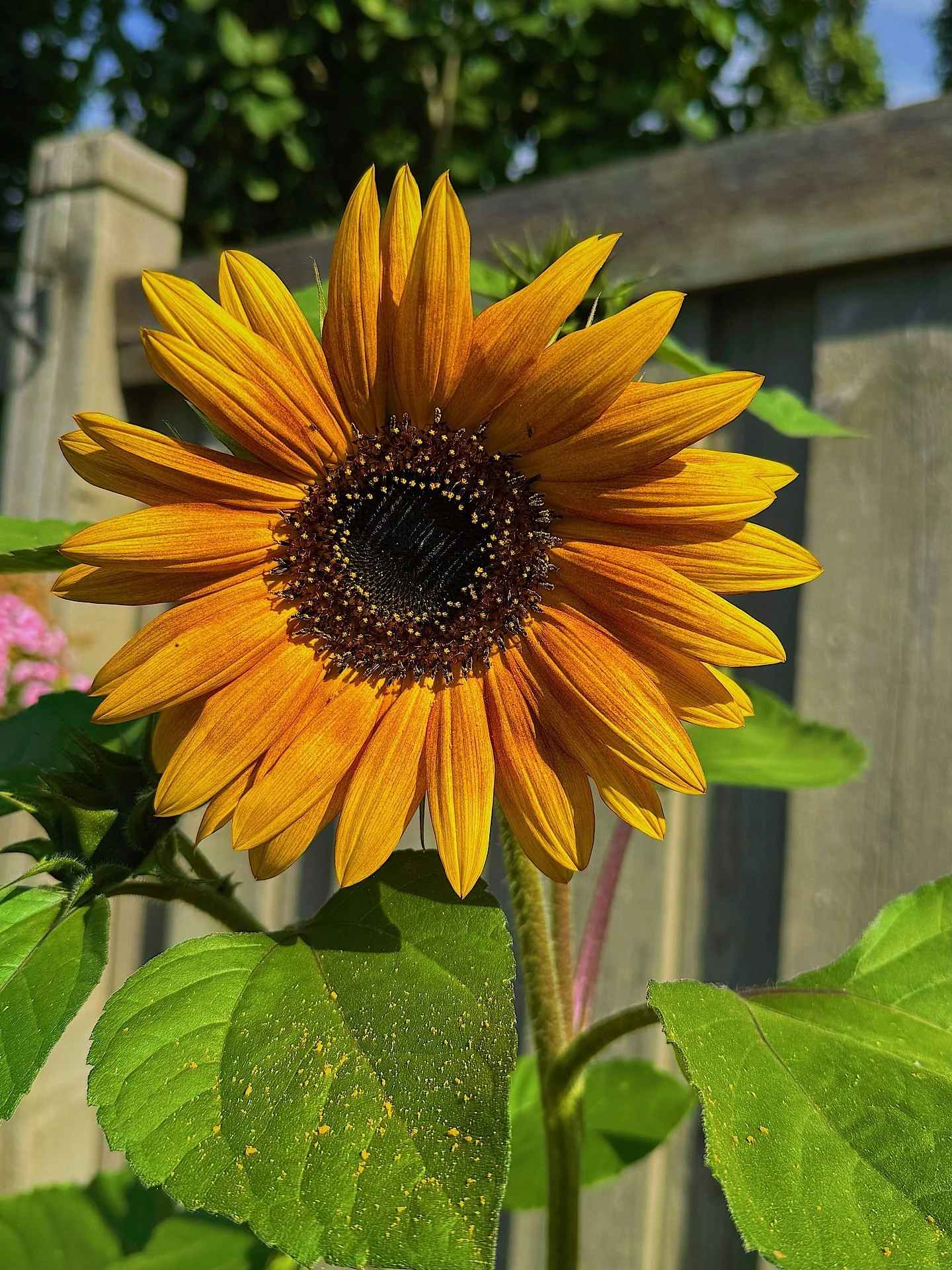 This birthday feels like a threshold. A doorway into a new season of life that is already teaching me more than I ever imagined.

I look at my son, Taran, and I see perfection. Not in the sense of flawless, but in the way he has awakened a love and s