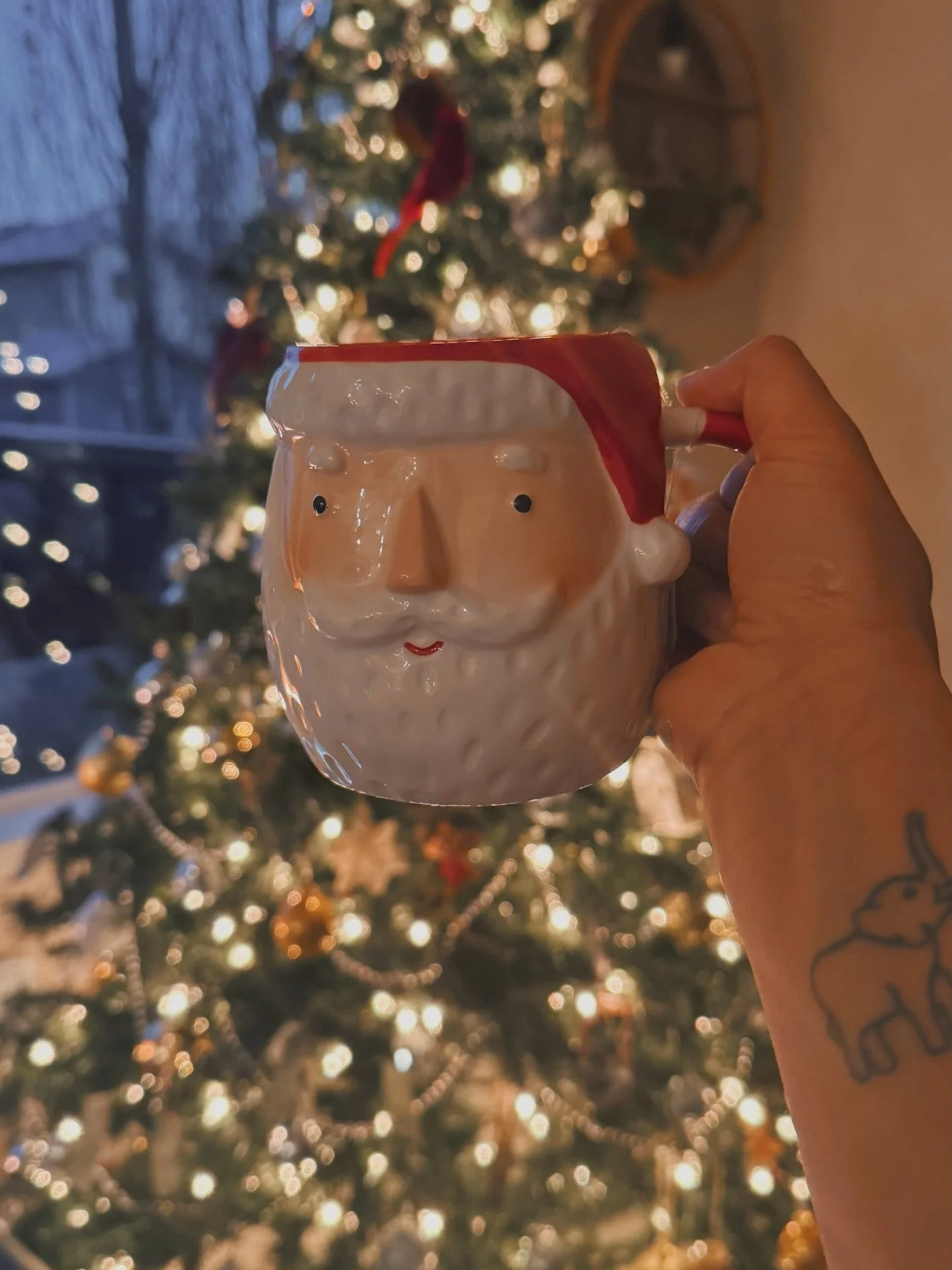 Dear winter,
we&rsquo;re ready for you. ❄️✨

The last few days have looked like frozen ponds, twinkly lights, fresh ornaments, warm mugs between my palms, and the kind of quiet that only arrives when the seasons change.

I filmed the little moments &