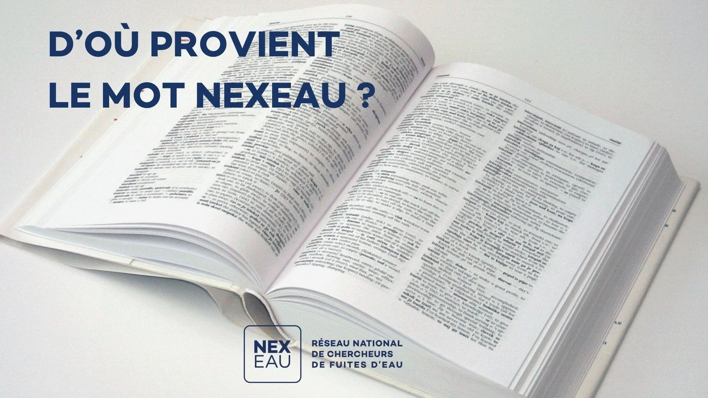 Le mot "NEXEAU" est la contraction du mot latin "NEXUS", signifiant "lien" ou "connexion", et du mot "EAU".
"NEX" évoque le lien humain de notre organisation en réseau de rech