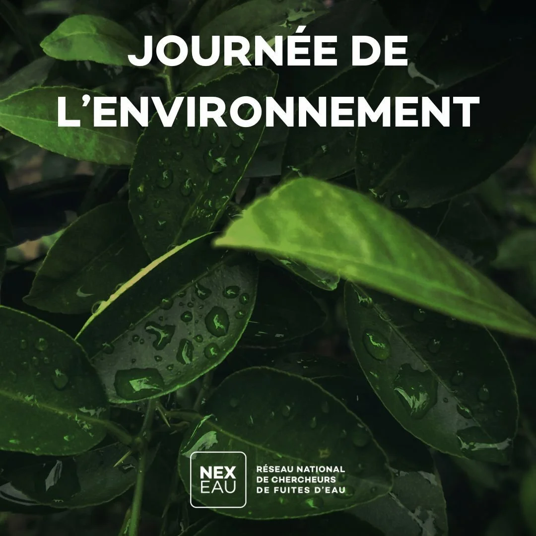 🌍 En cette Journée Mondiale de l'Environnement, prenons un moment pour réfléchir à l'impact crucial de l'eau dans nos vies et à l'importance de la préserver pour les générations futures. En tan