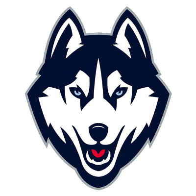 Illustration of a husky dog's head with blue, white, black, and red colors, featuring piercing eyes and an open mouth with a red tongue.
