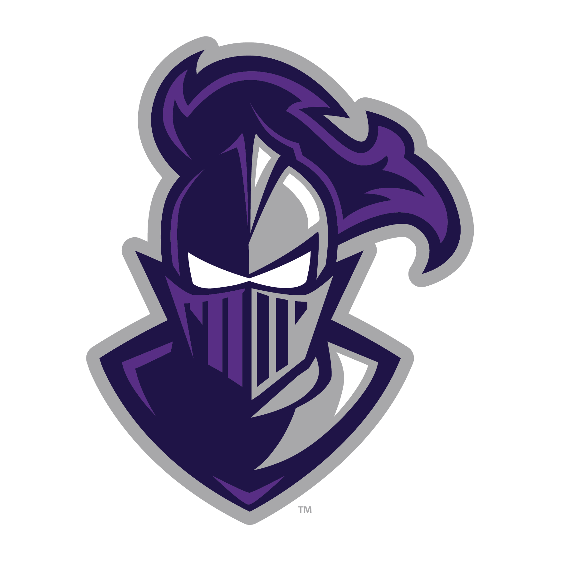 furman university logo, knight, purple, gray and white