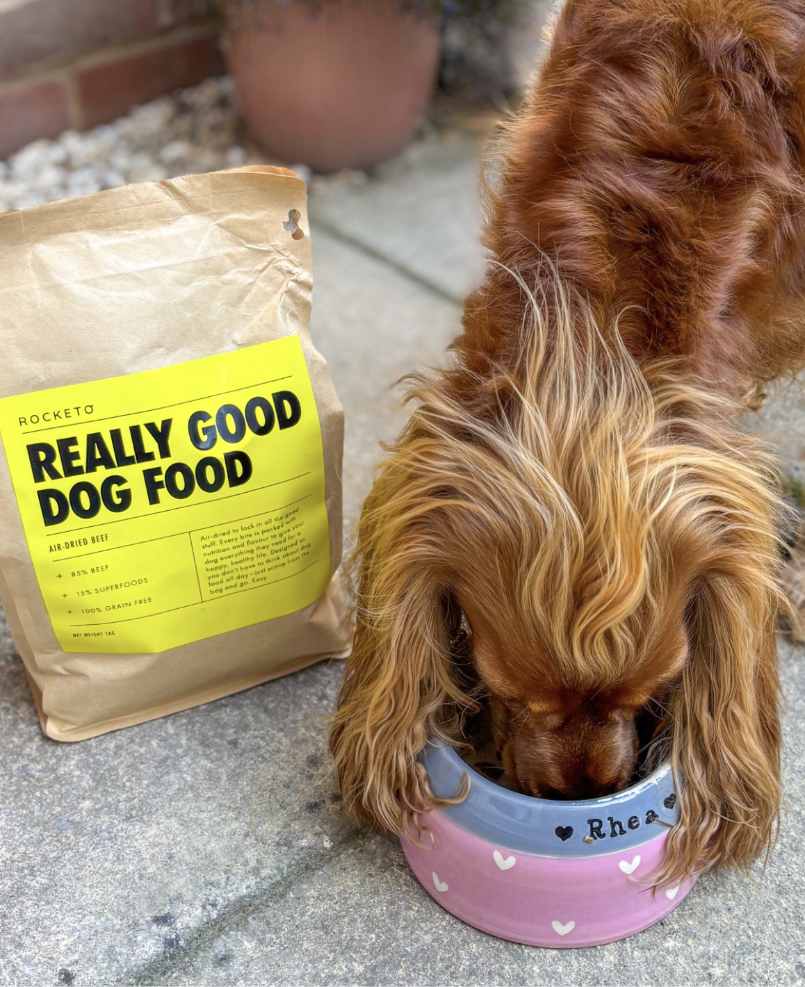 Influencer marketing campaign for dog food brand featuring creator-led content