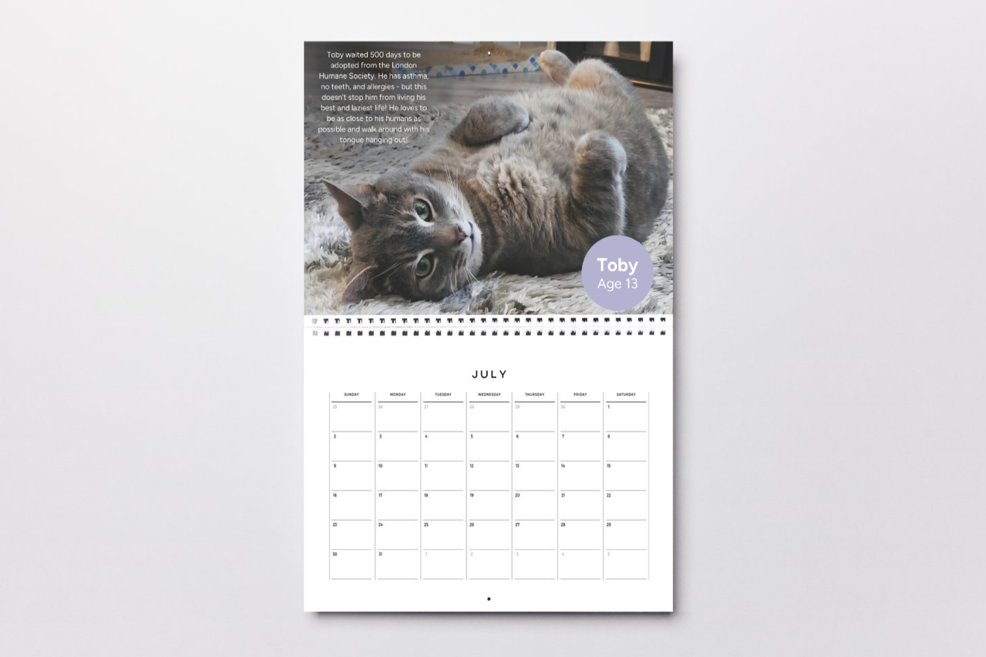 TobyAge13.png (Copy)