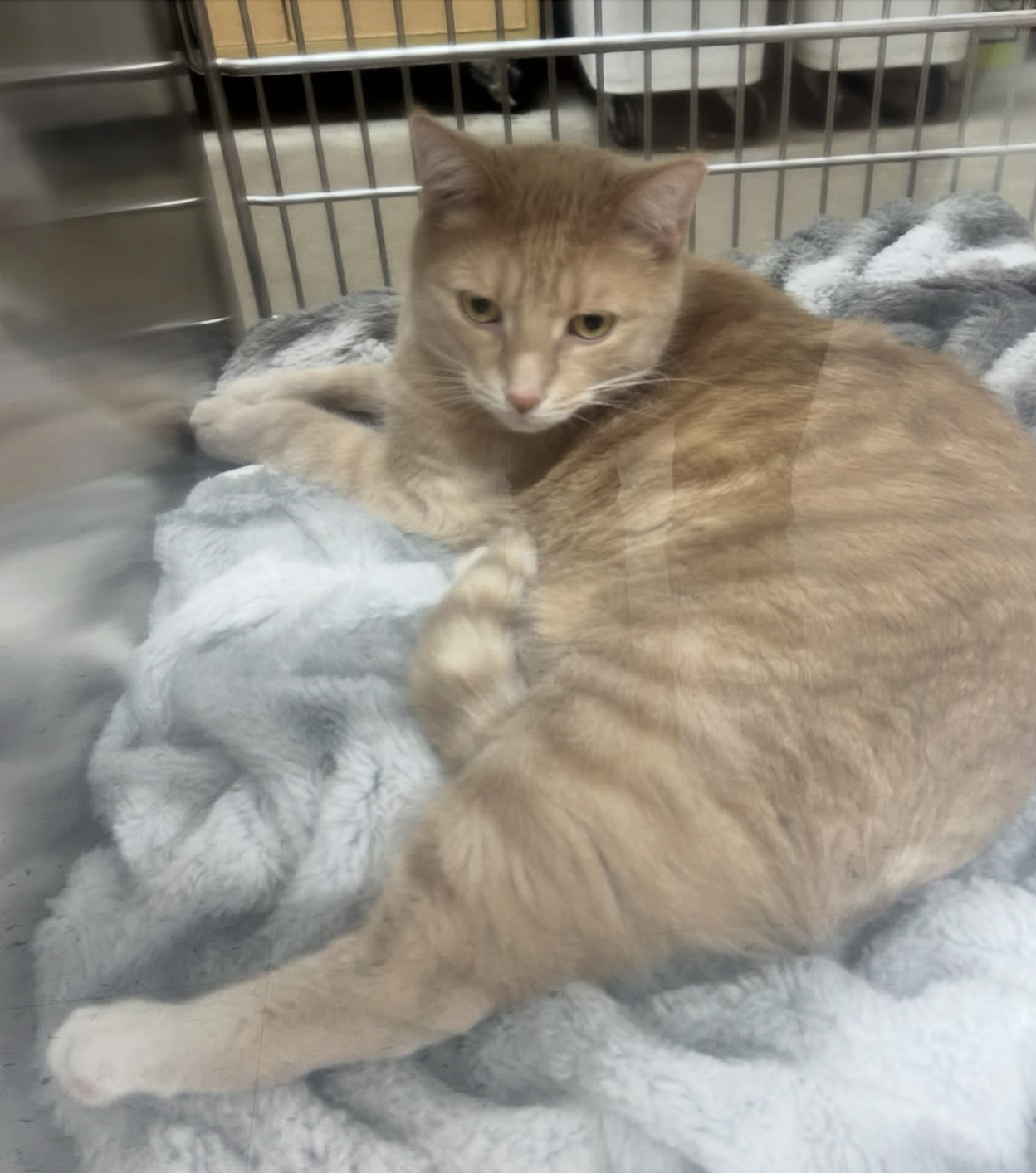 Screenshot 2026-03-23 at 2.44.21 PM.png