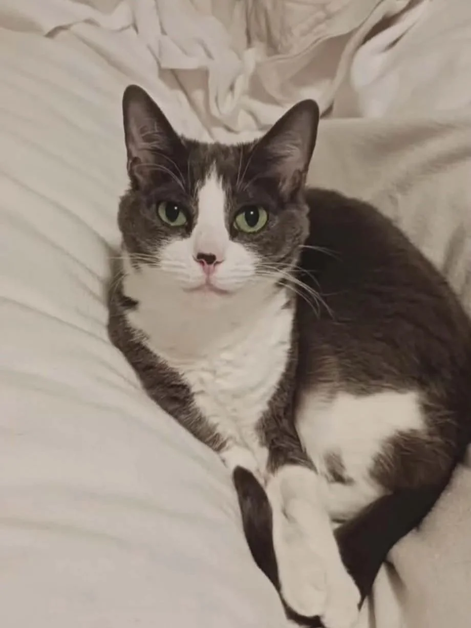 Myla+1.jpg