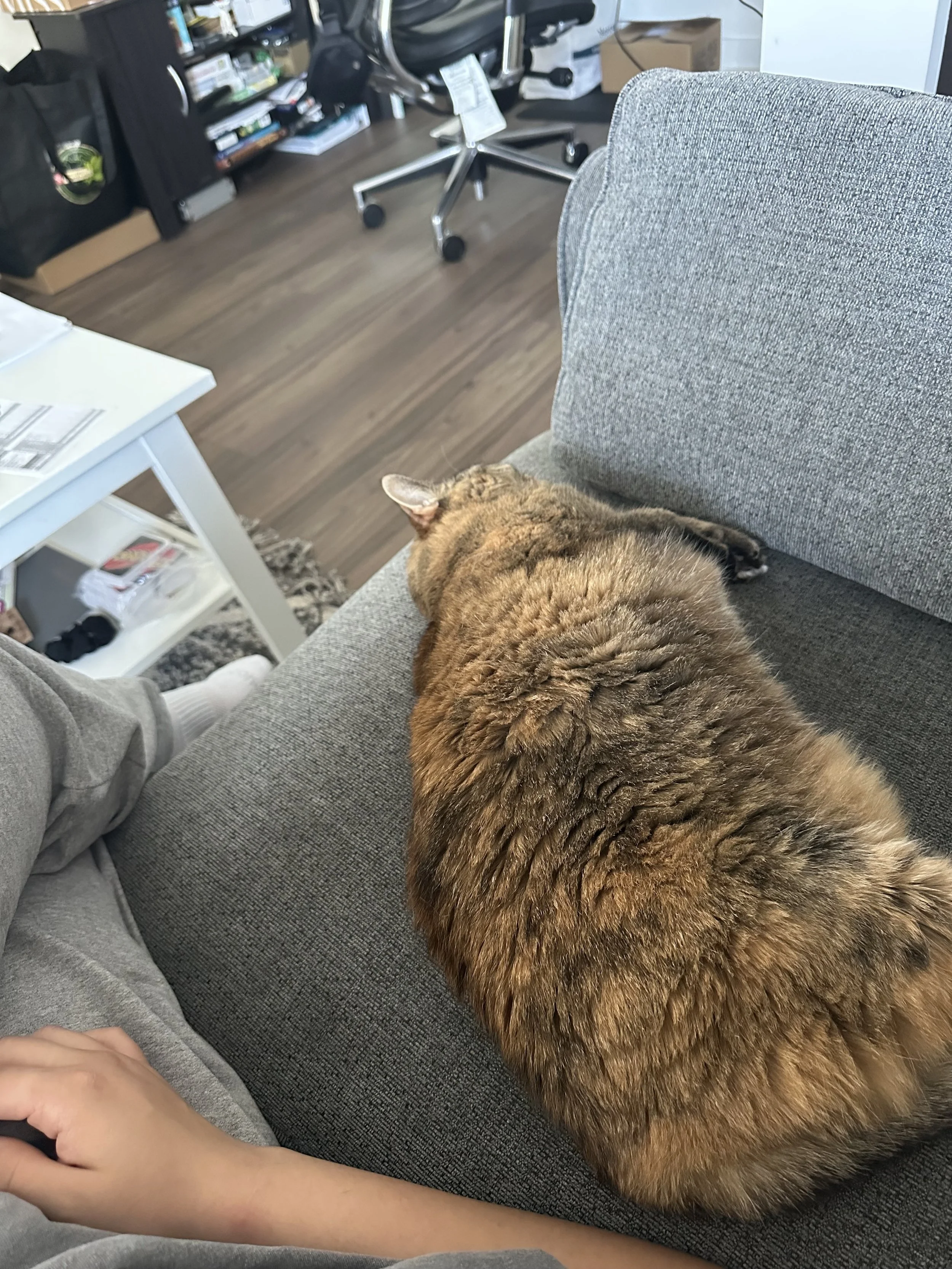 IMG_6717.jpeg