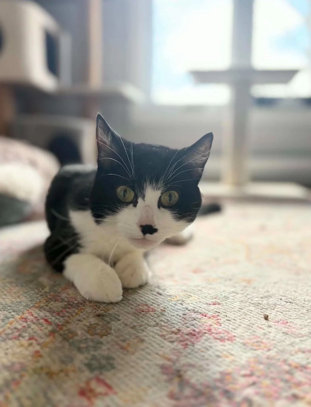 Mia