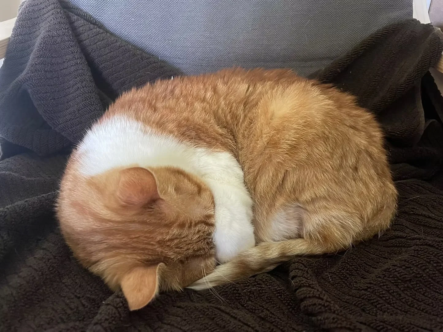 Pumpkin 4.jpeg