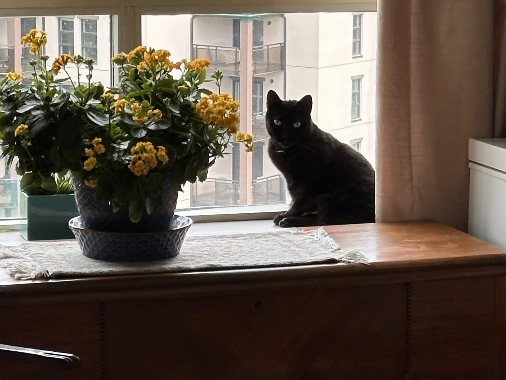 IMG_0876.jpeg