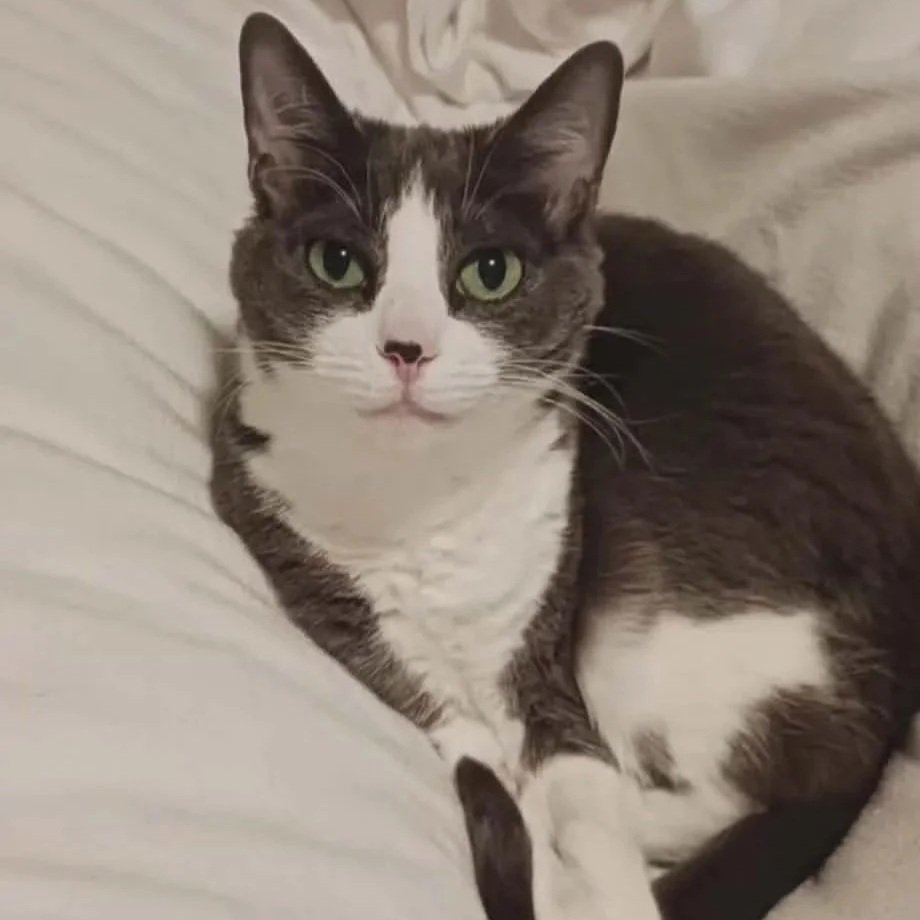 Myla%252B1.jpg