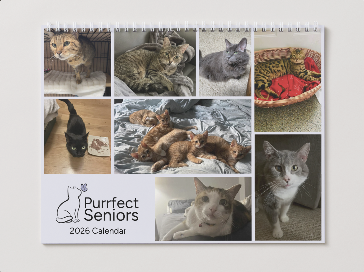 CalendarCoverMockup.png (Copy)