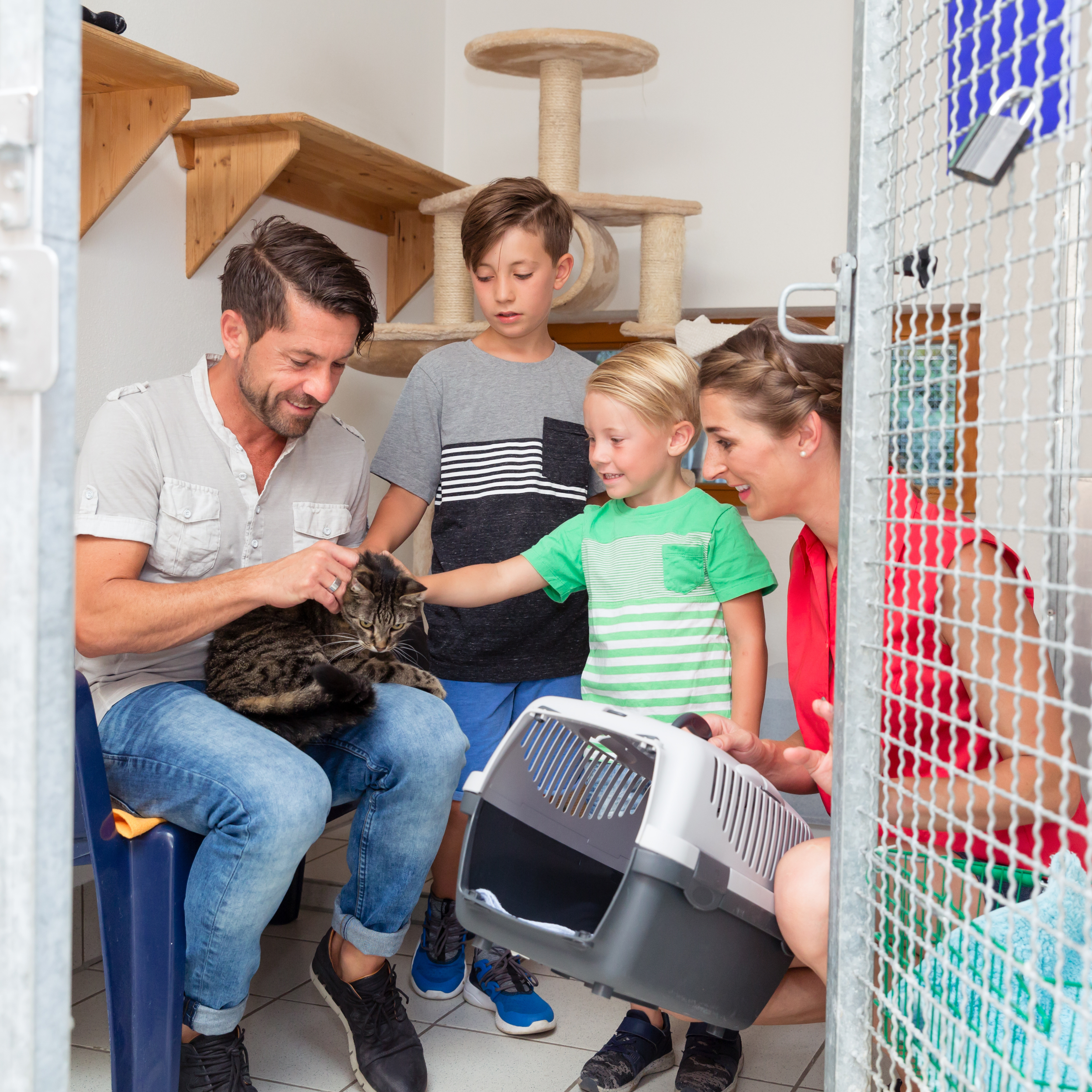 Family adopting a cat from a shelter