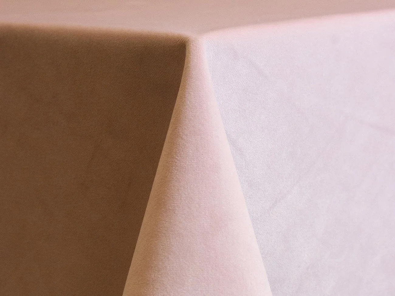 Blush Velvet