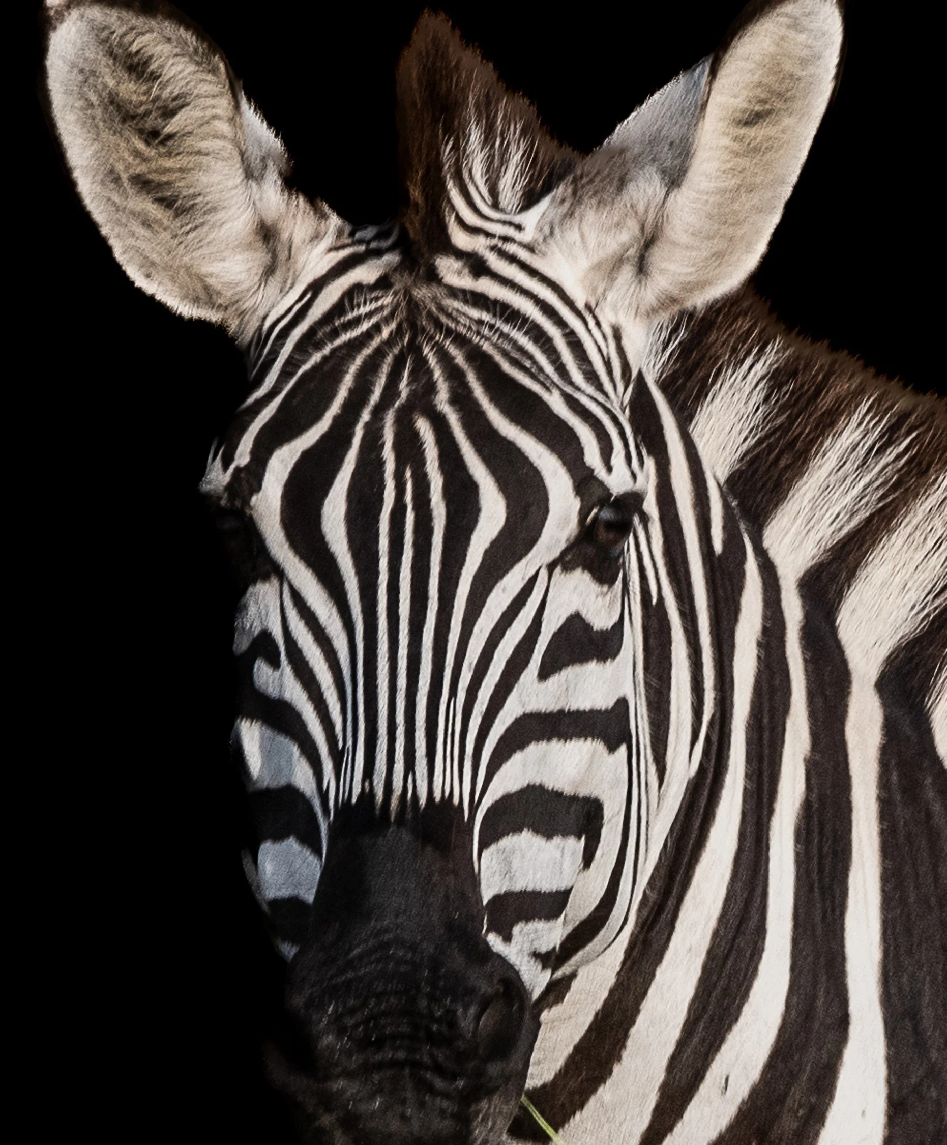 Contrast, Kenya, Africa