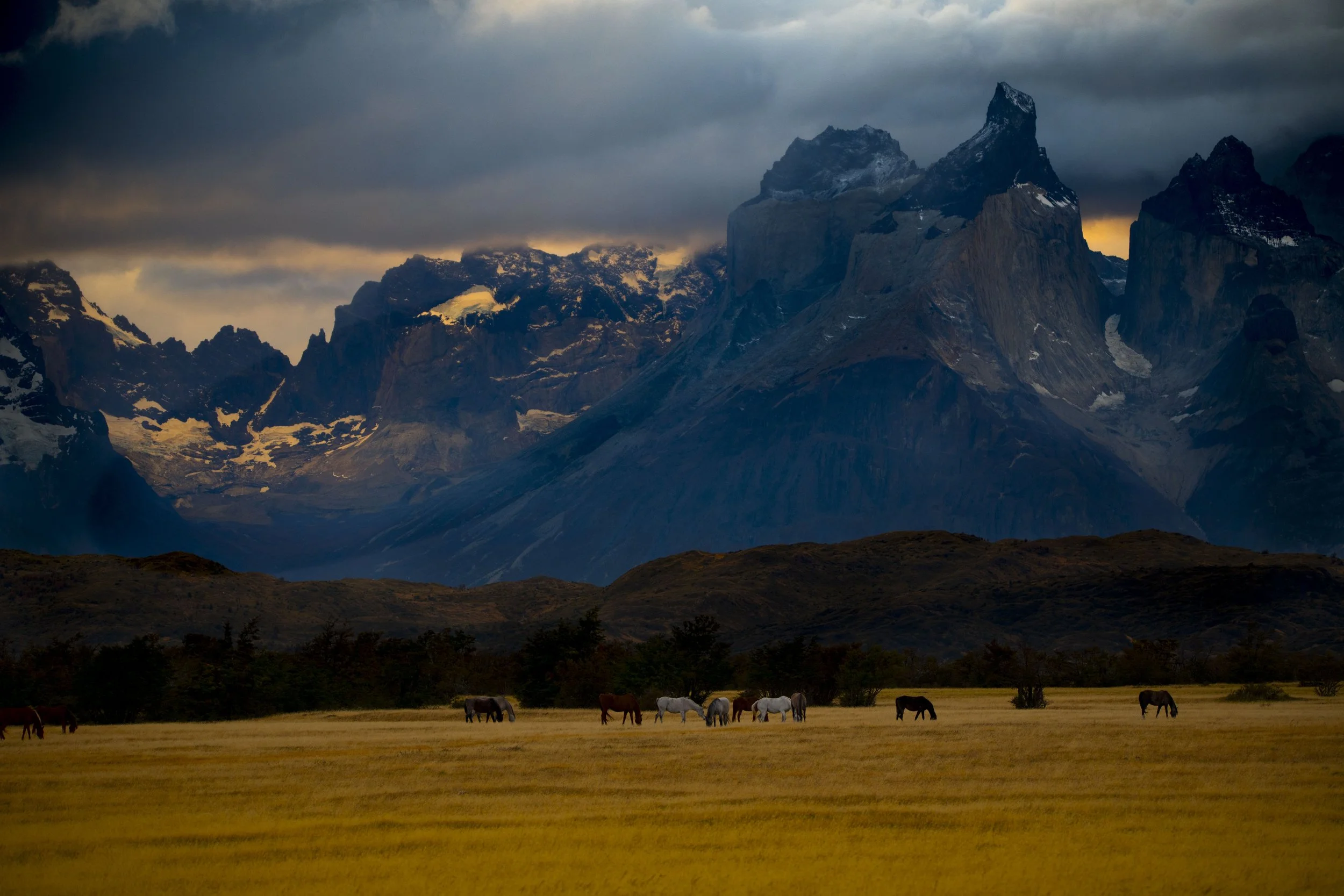 Punta Serrano, Chile 