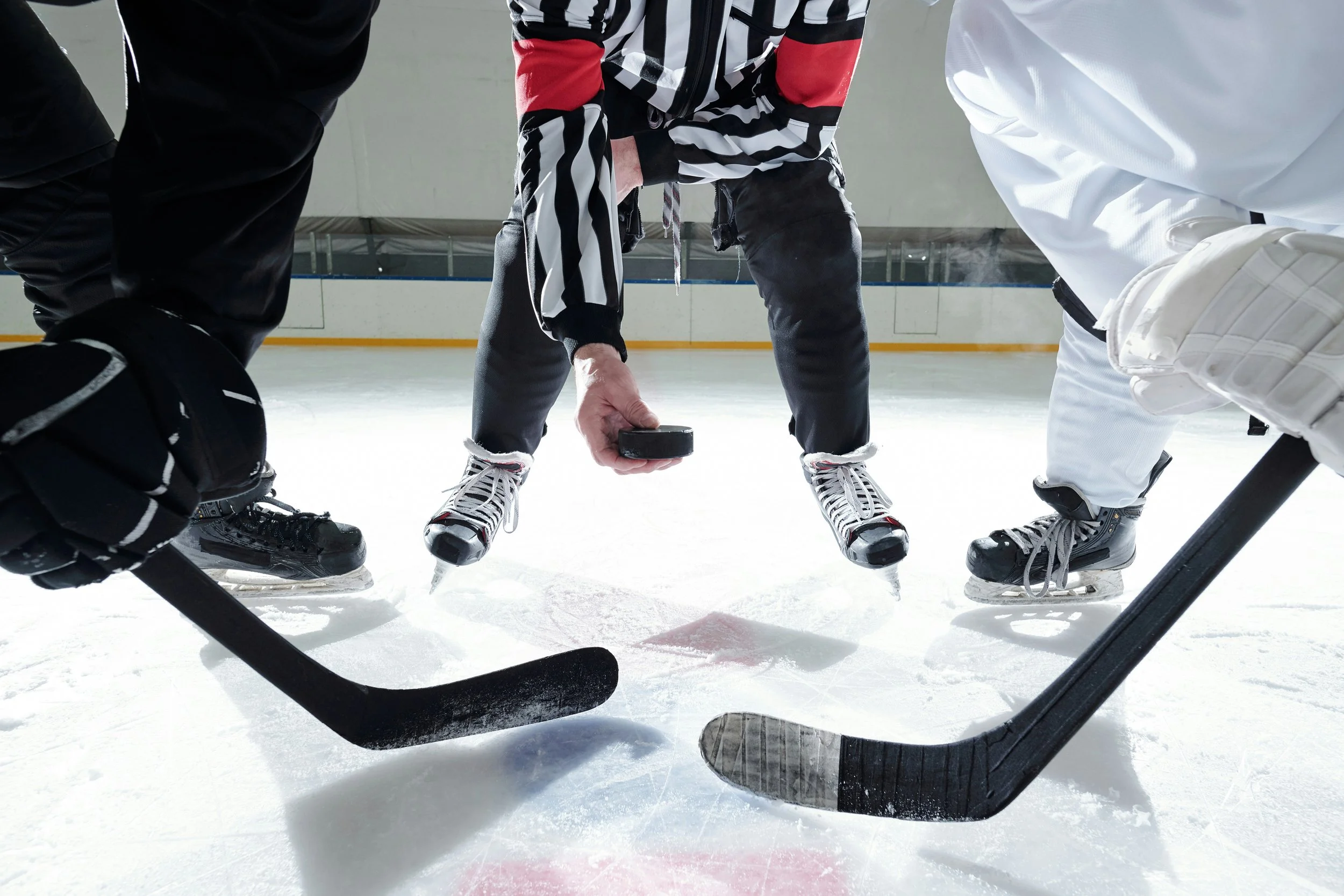 The Halifax Mooseheads Season Has Started