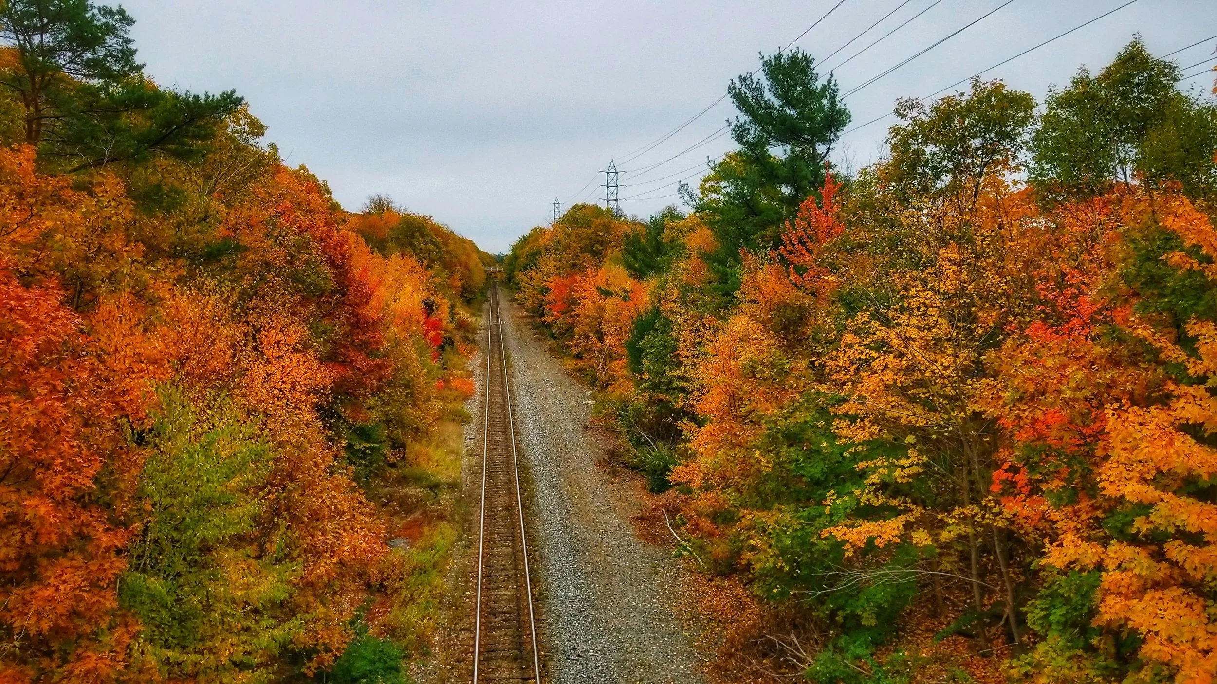 What’s On: Five Things To Do in and Around Halifax This Week [Oct 29-Nov 3 Edition]