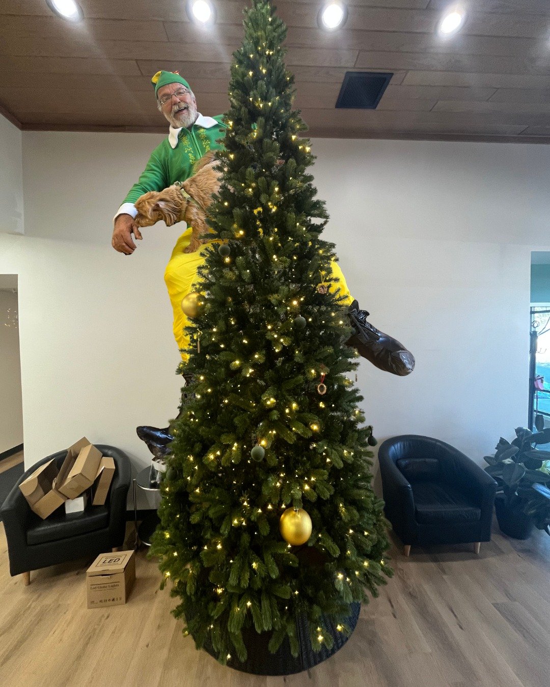 Elf on the shelf? No, Mark on the Tree. 🎄 Don't worry, he's doing just fine 🤣 and wanted to show off his extravagant Christmas village! ✨ Take a look at all of the details. 

#TeamArnolds #MerryChristmas #HappyHolidays #elfontheshelf #markonthetree