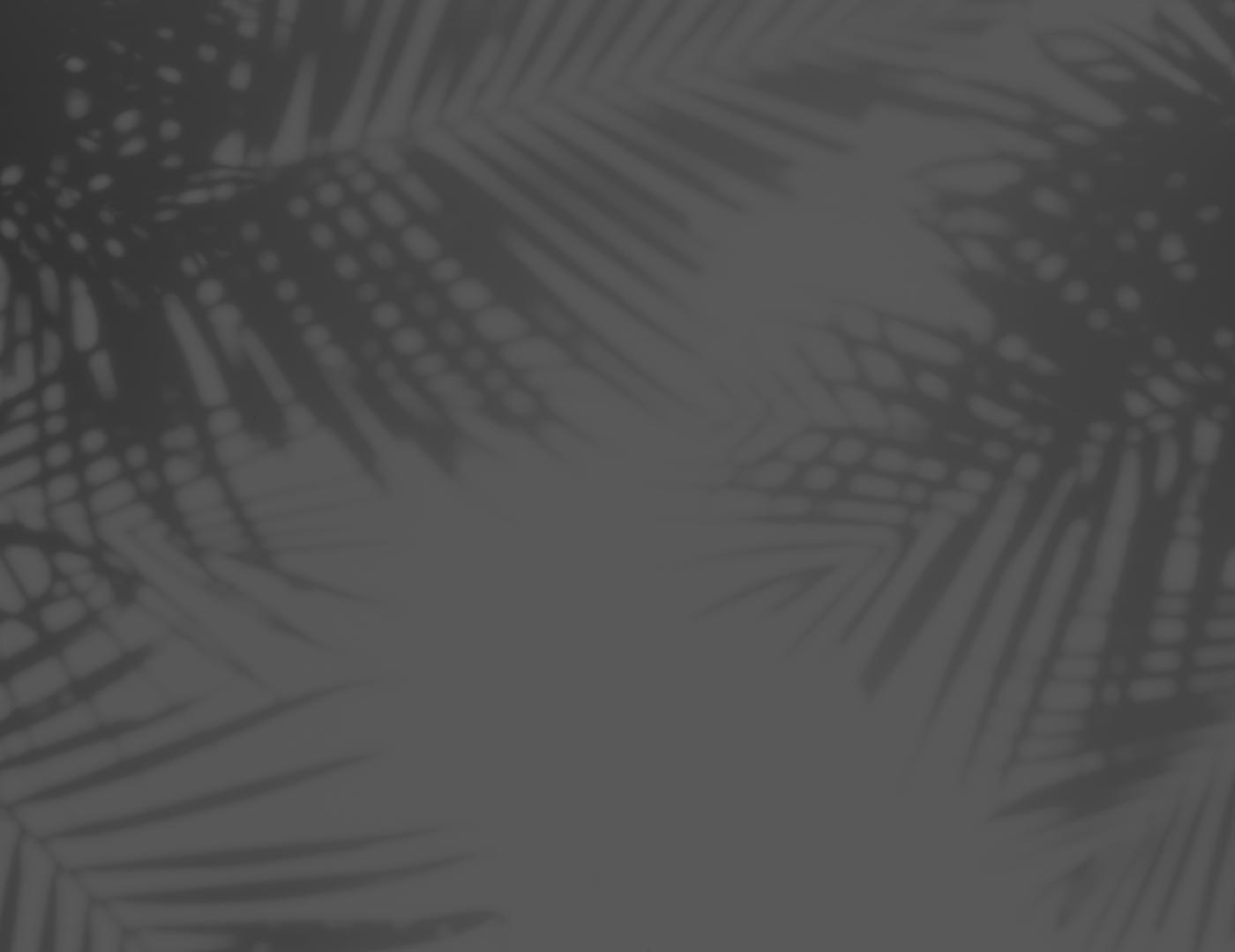 Untitled design - 2025-01-03T115621.621.png