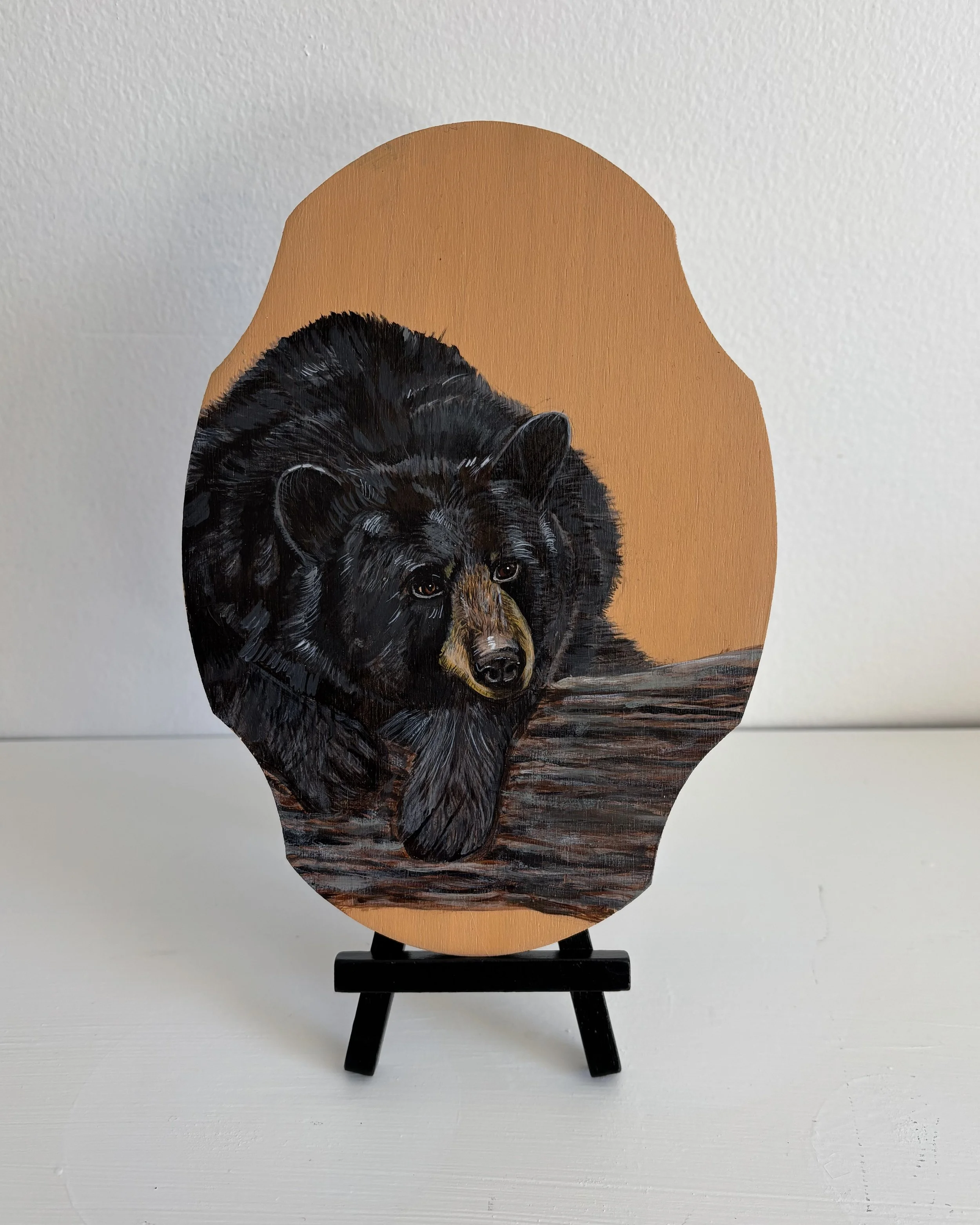 Featured Artist, February 9-16: Teeth and Tales