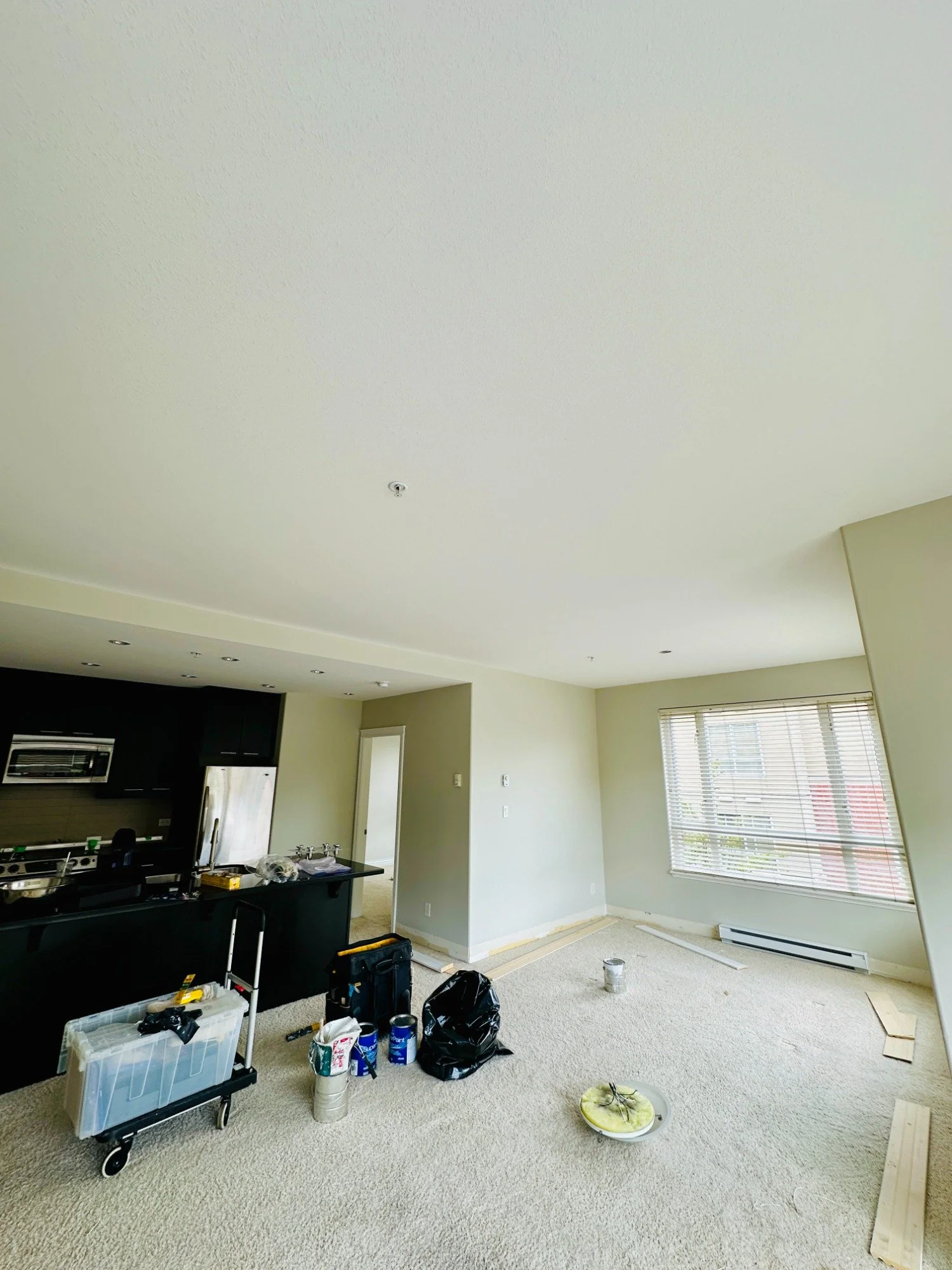 Apartment Living Room Painting