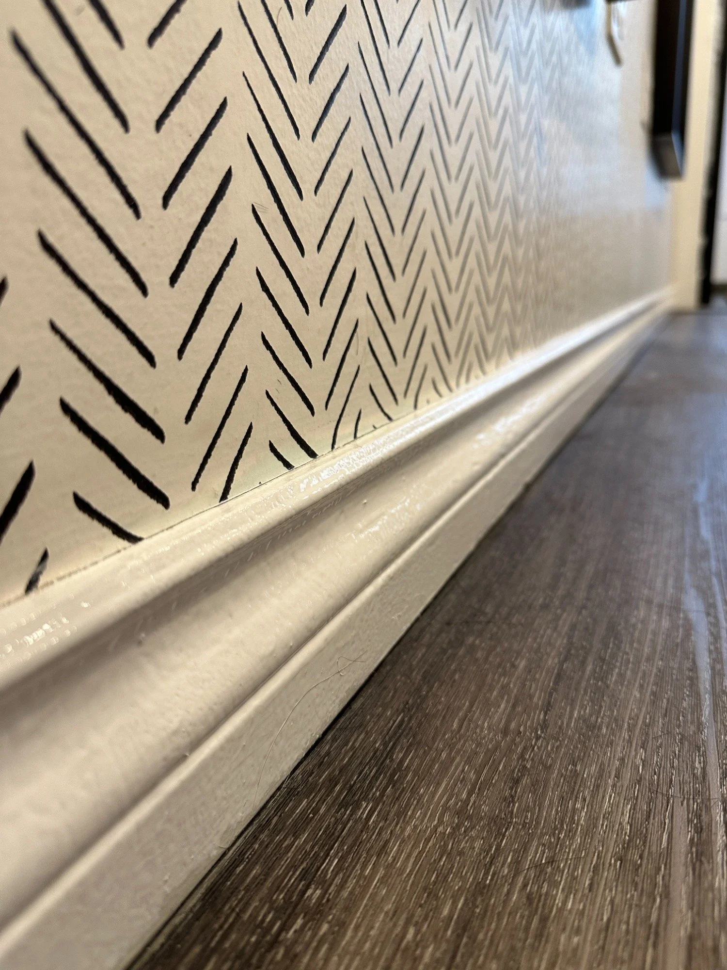 Painters Coquitlam- Door and Trim Painting