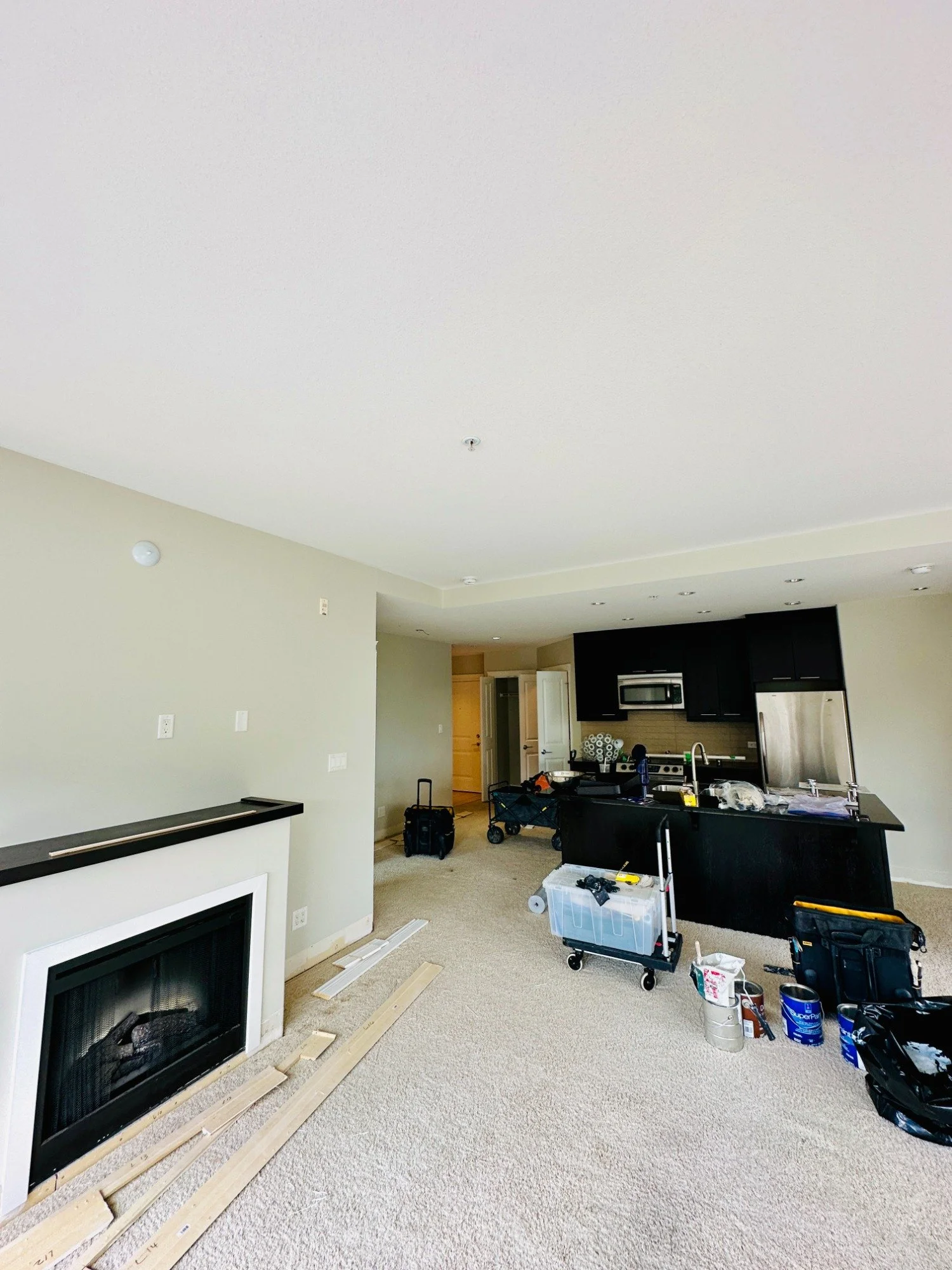 Apartment Dining Rool Painting