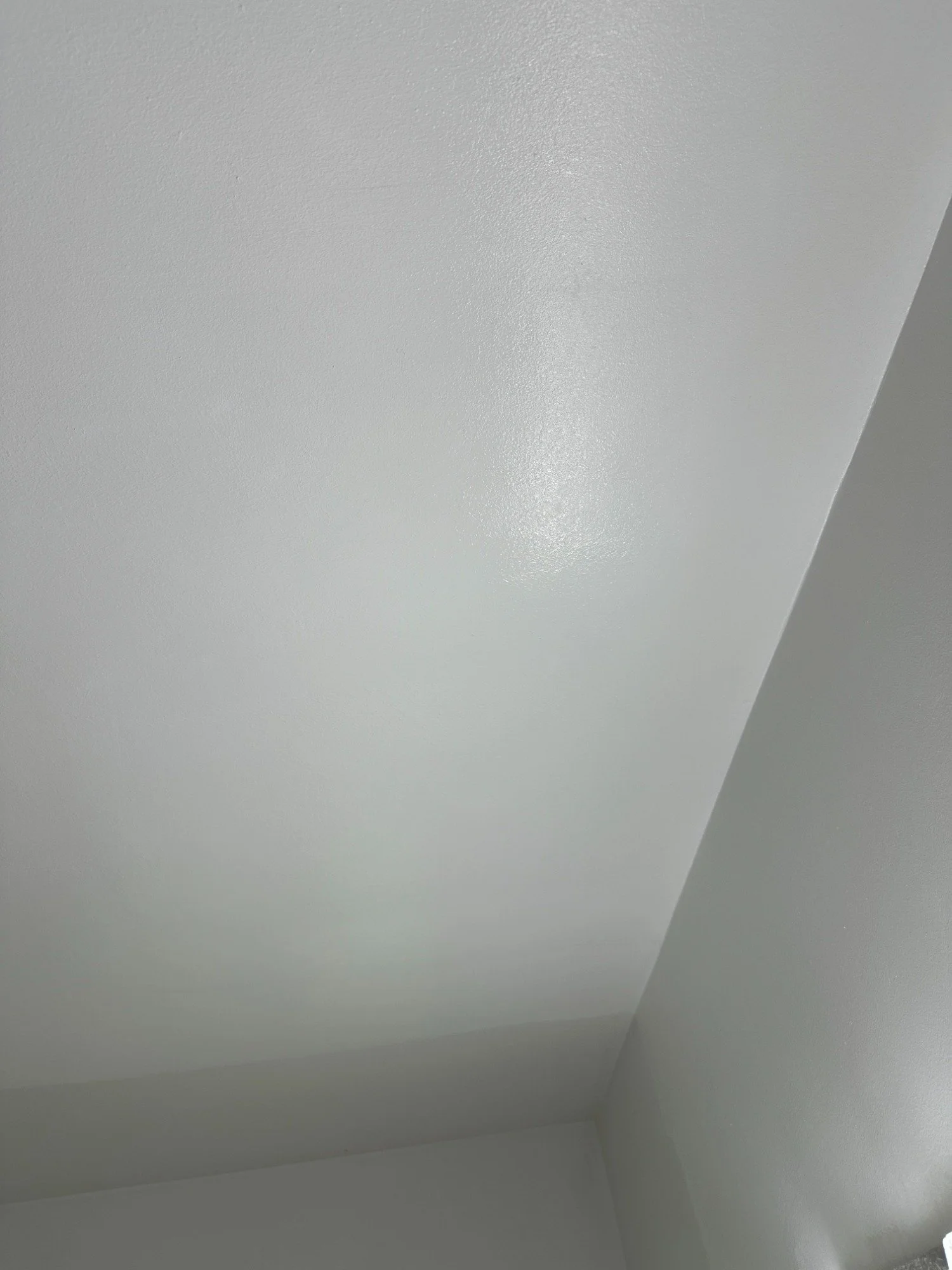 Bathroom Ceiling Painting.