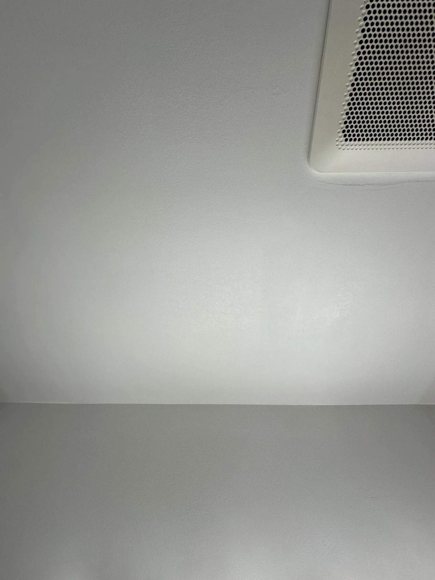 Ceiling Repair Patch and Ceiling Painting