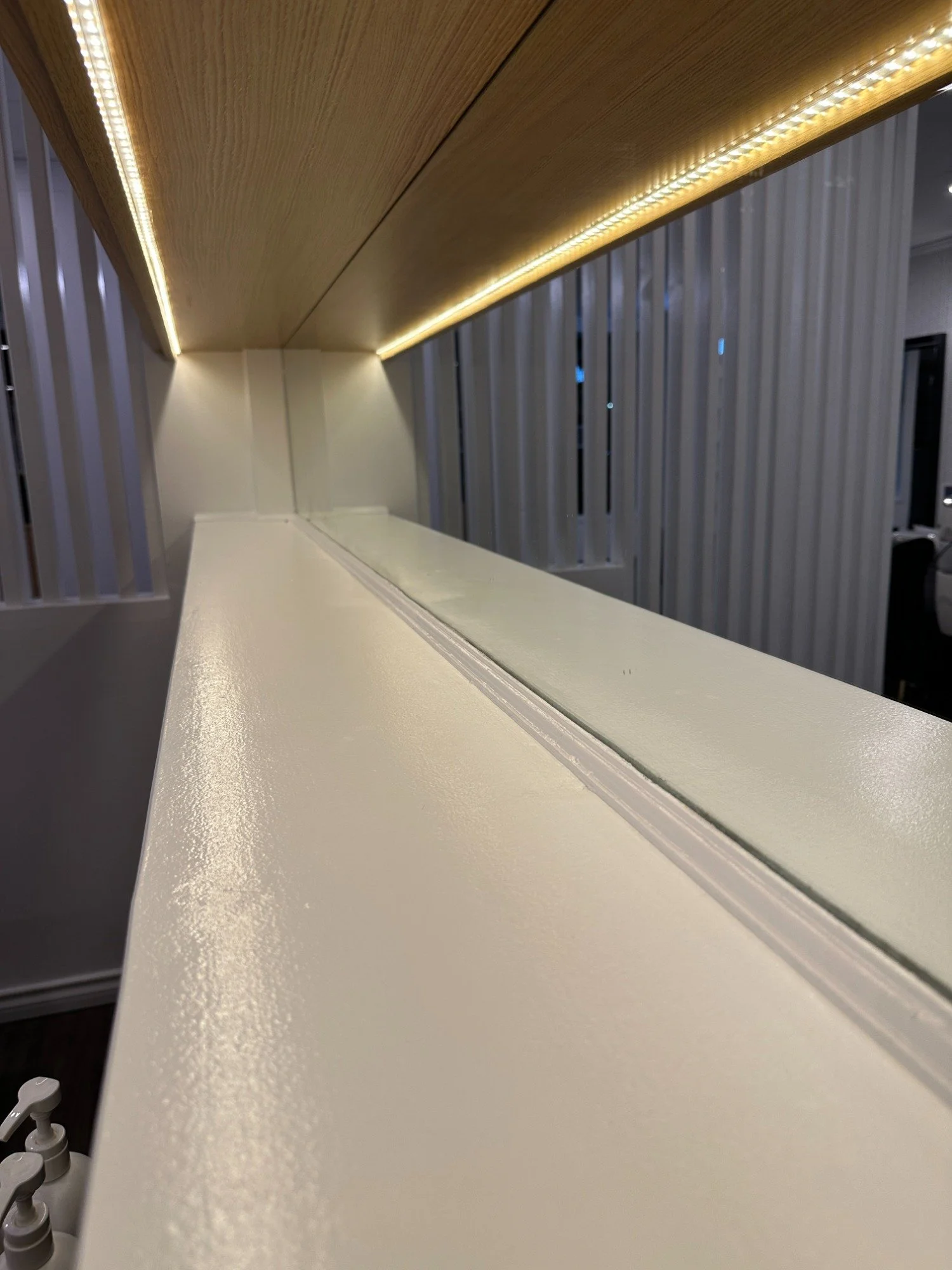 Painters Coquitlam- Detailed painting