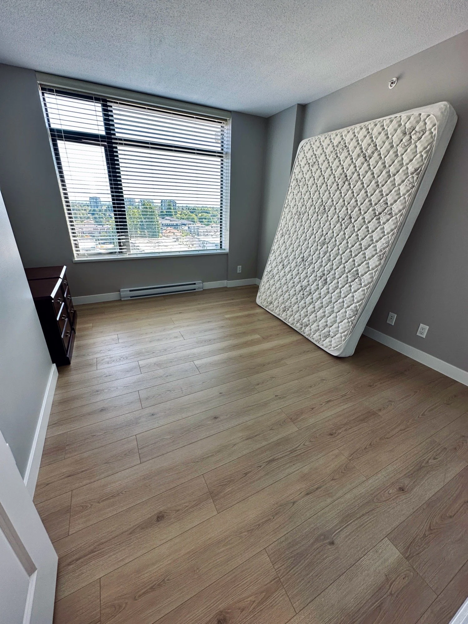 Coquitlam Detailed Painting- Bedroom Painters