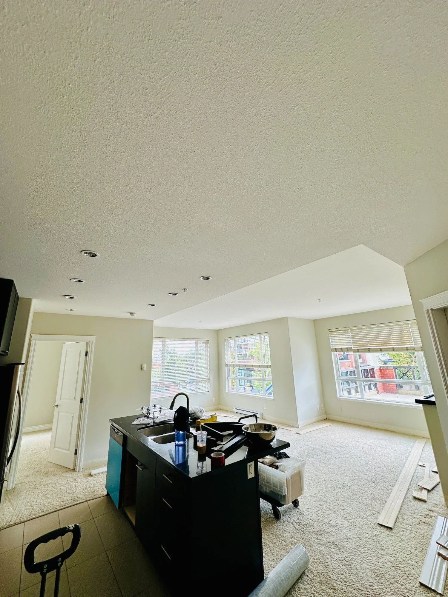 Apartment Wall and Ceiling Painting