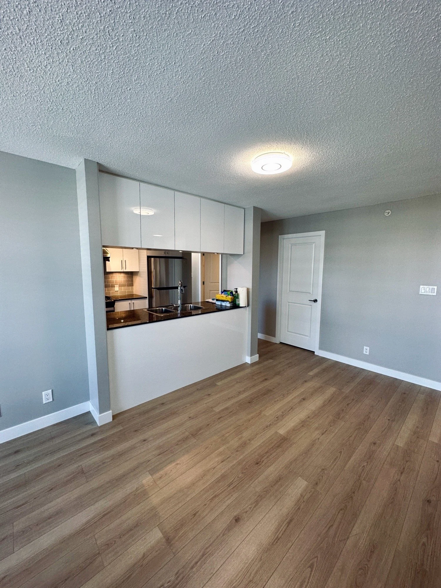 Richmond Painter- Detailed House Painting