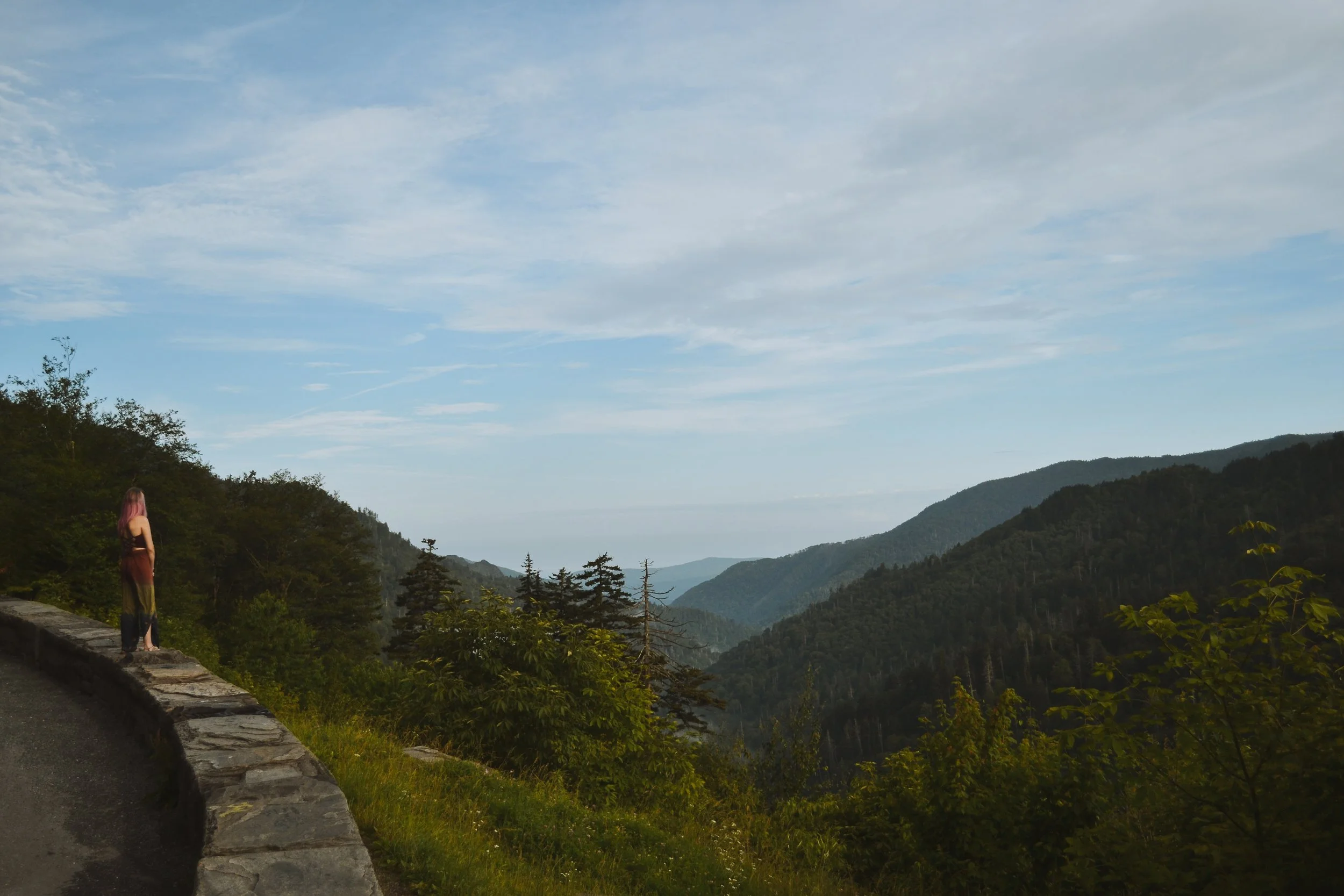 DSC_2804.jpg