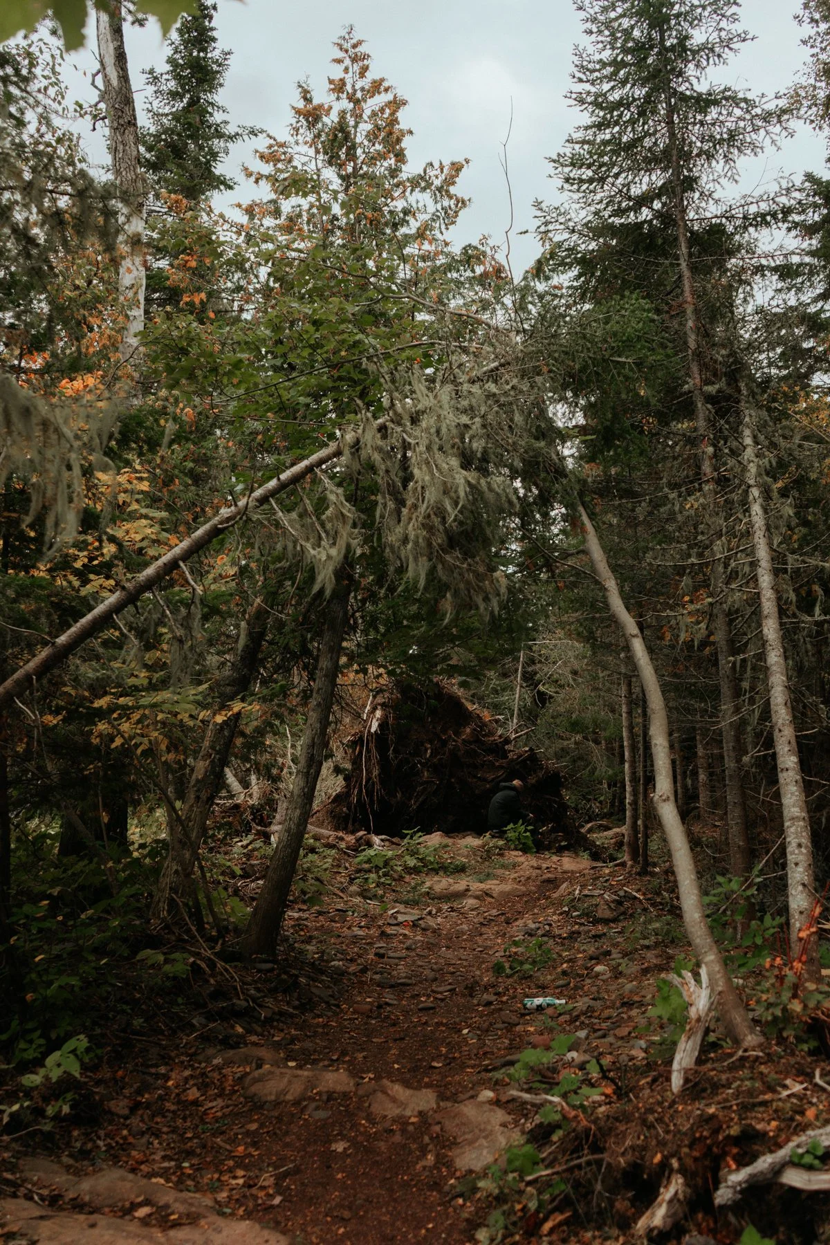 houghton-08798.jpg