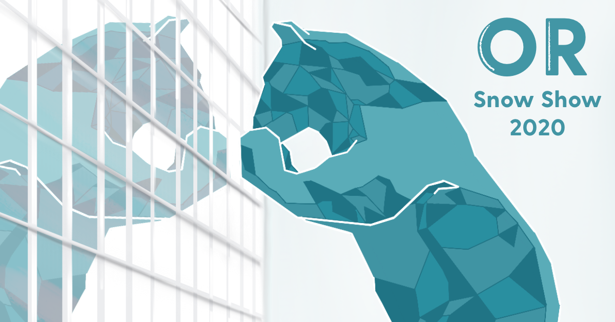 Key Takeaways on Amazon Strategy from 2020 OR Snow Show