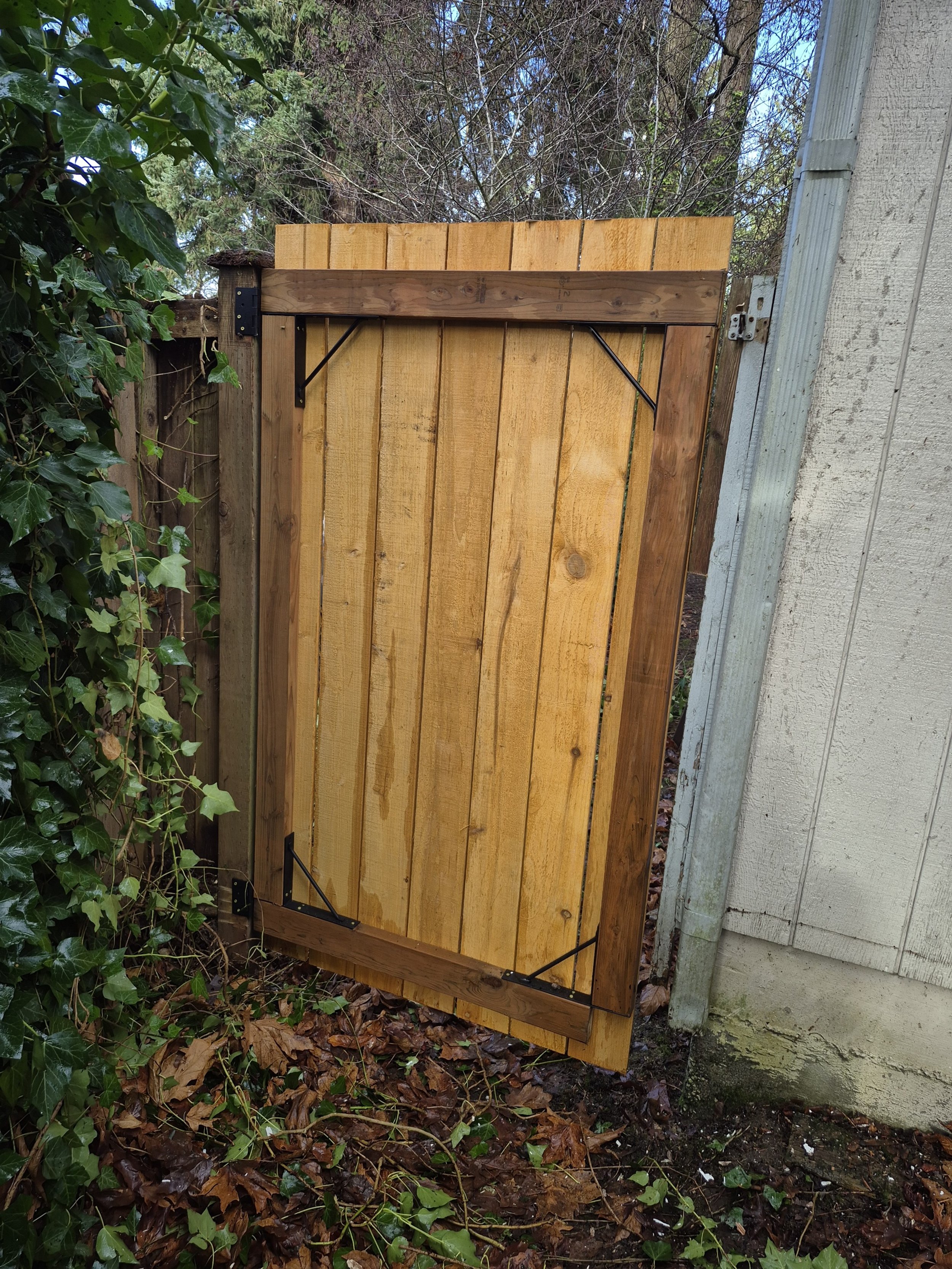 Wooden garden gate with hinges on the right side and leafy green bushes on the left, set against a background of trees and blue sky.