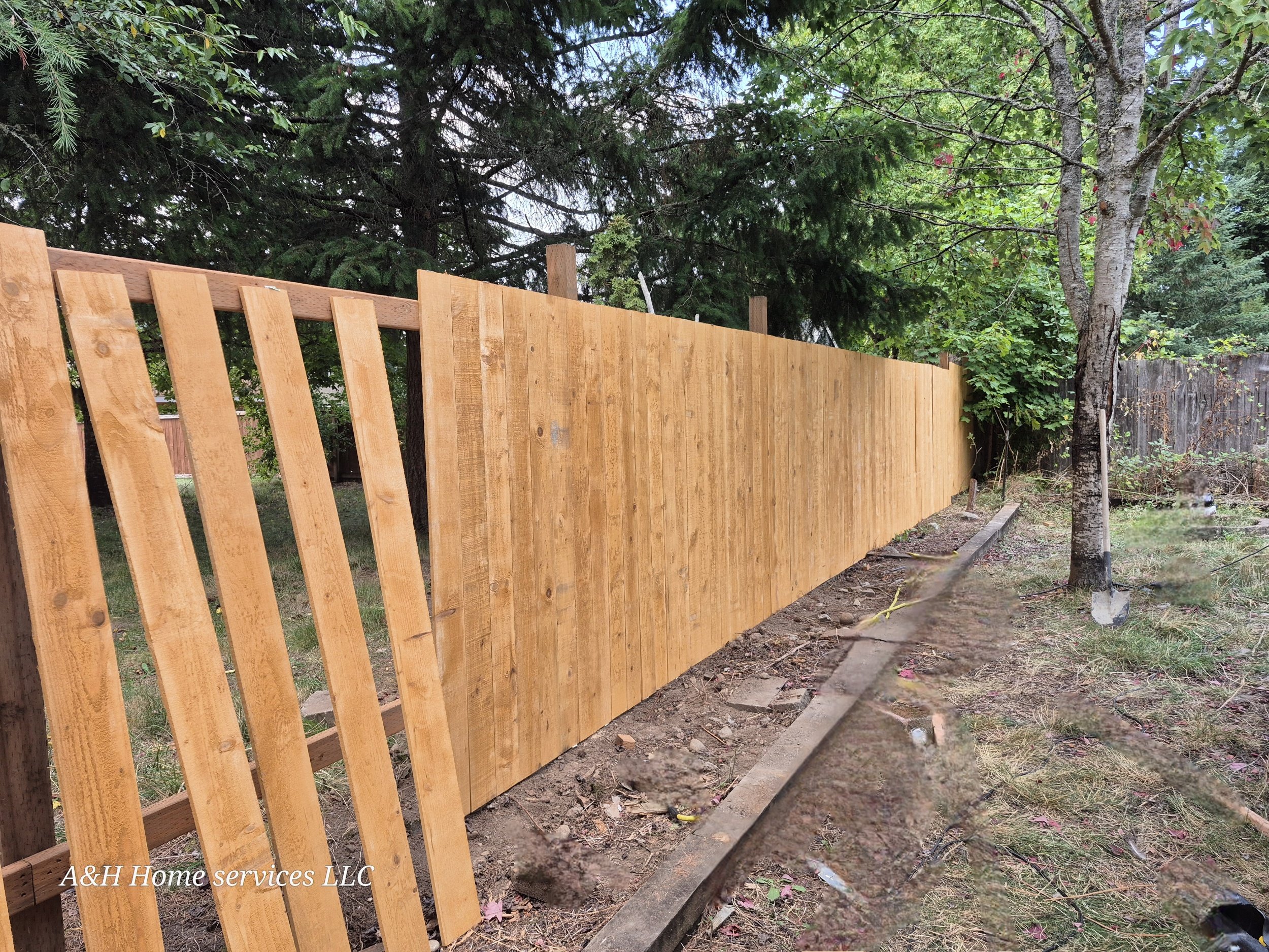 Residential backyard with a new wooden fence, trees, and a dirt area along the fence line.