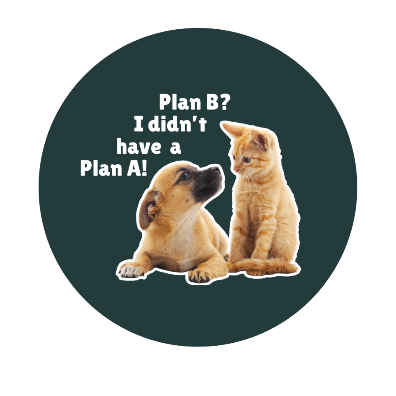 Untitled design (1).png