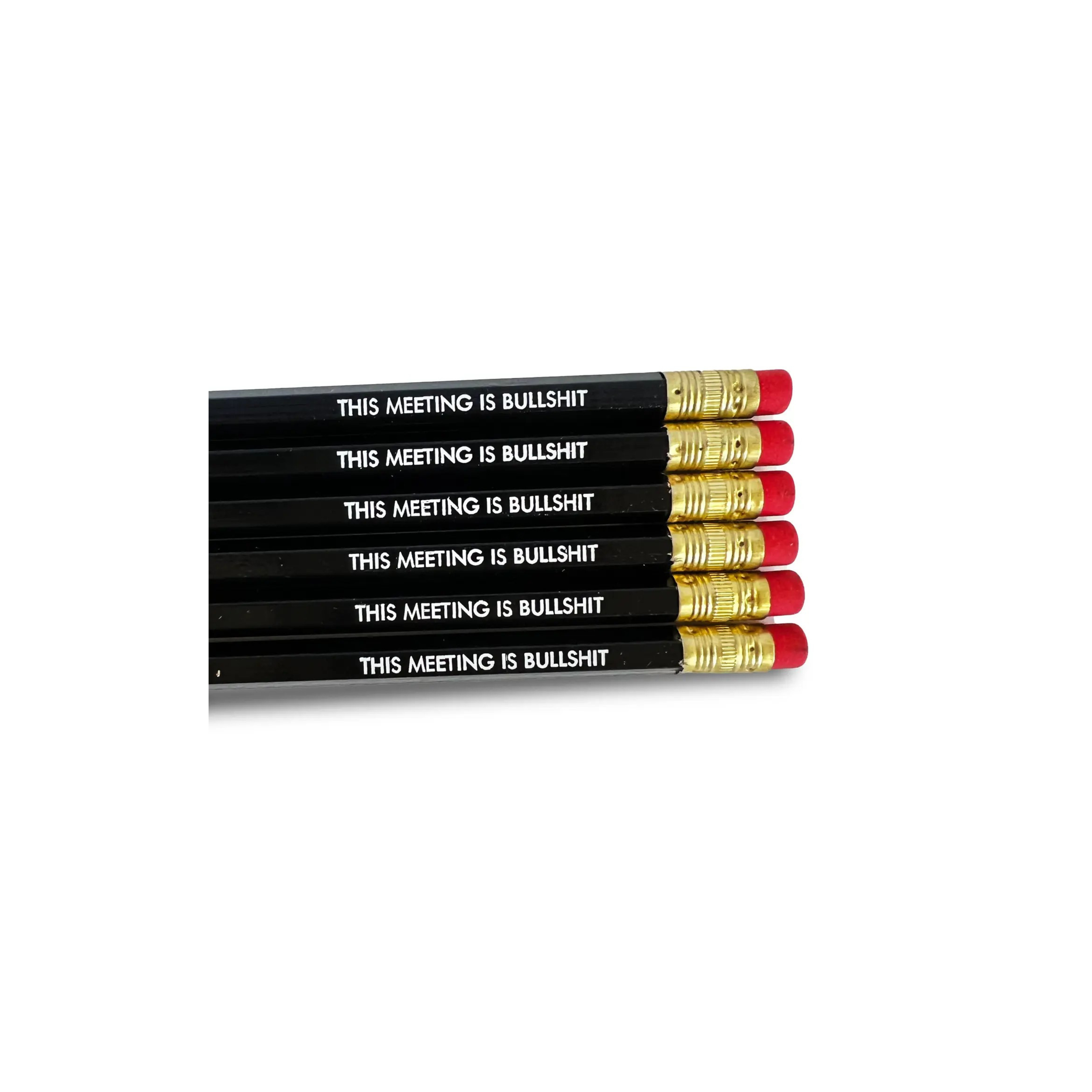 This Meeting is Bullshit Pencil Set