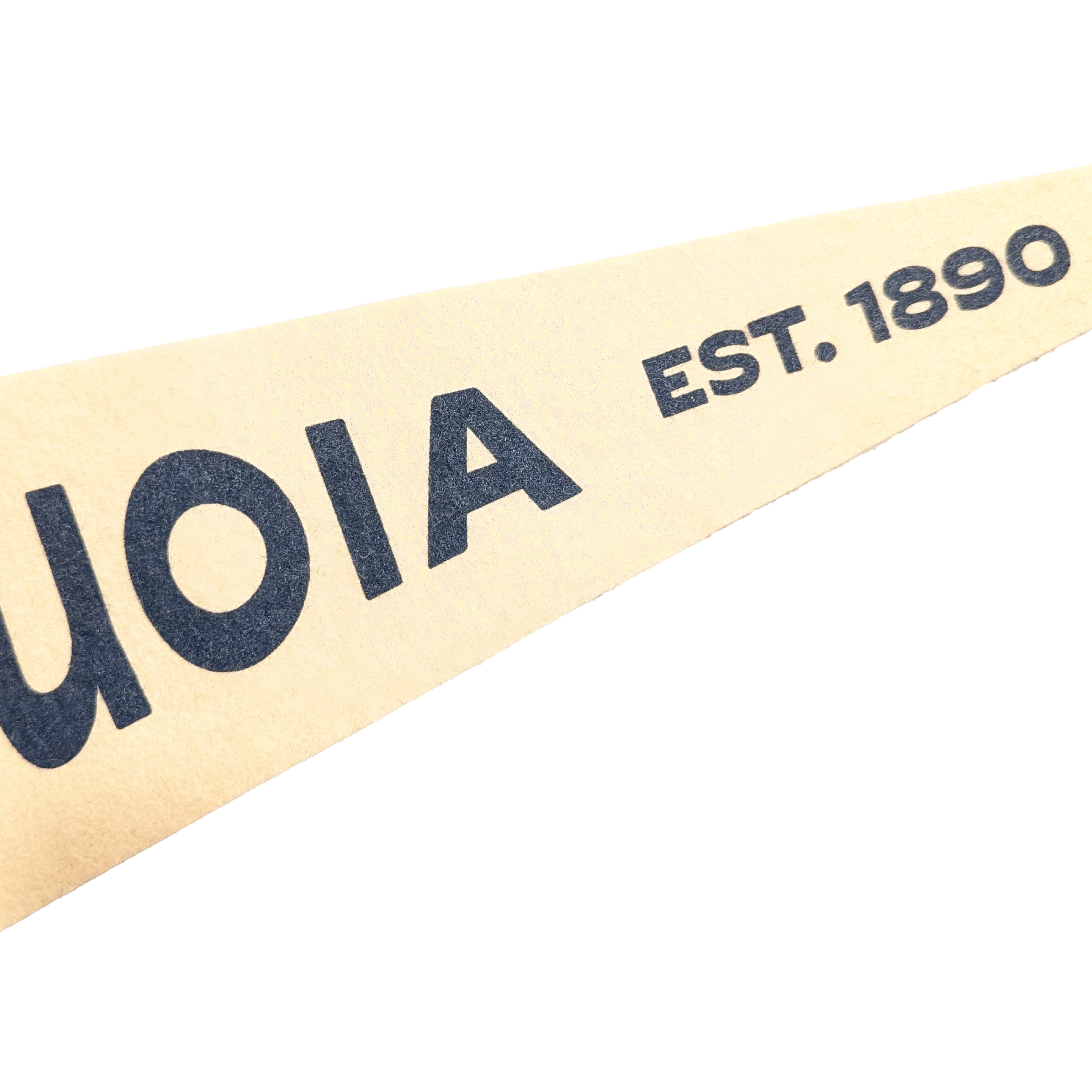 Sequoia_3.png