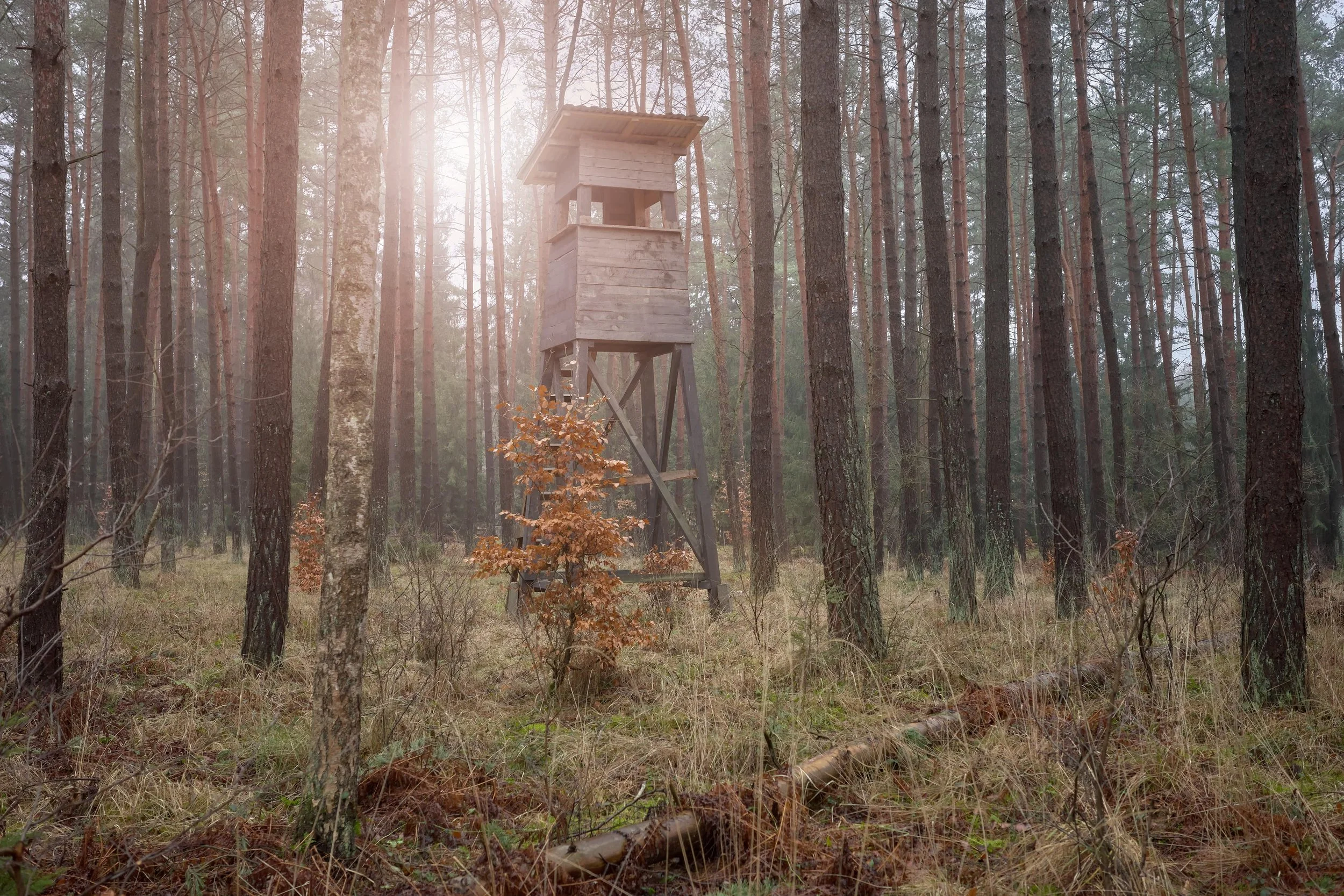 photo-of-a-deer-hunting-tower-in-a-forest-2024-02-13-16-39-57-utc-min.jpg
