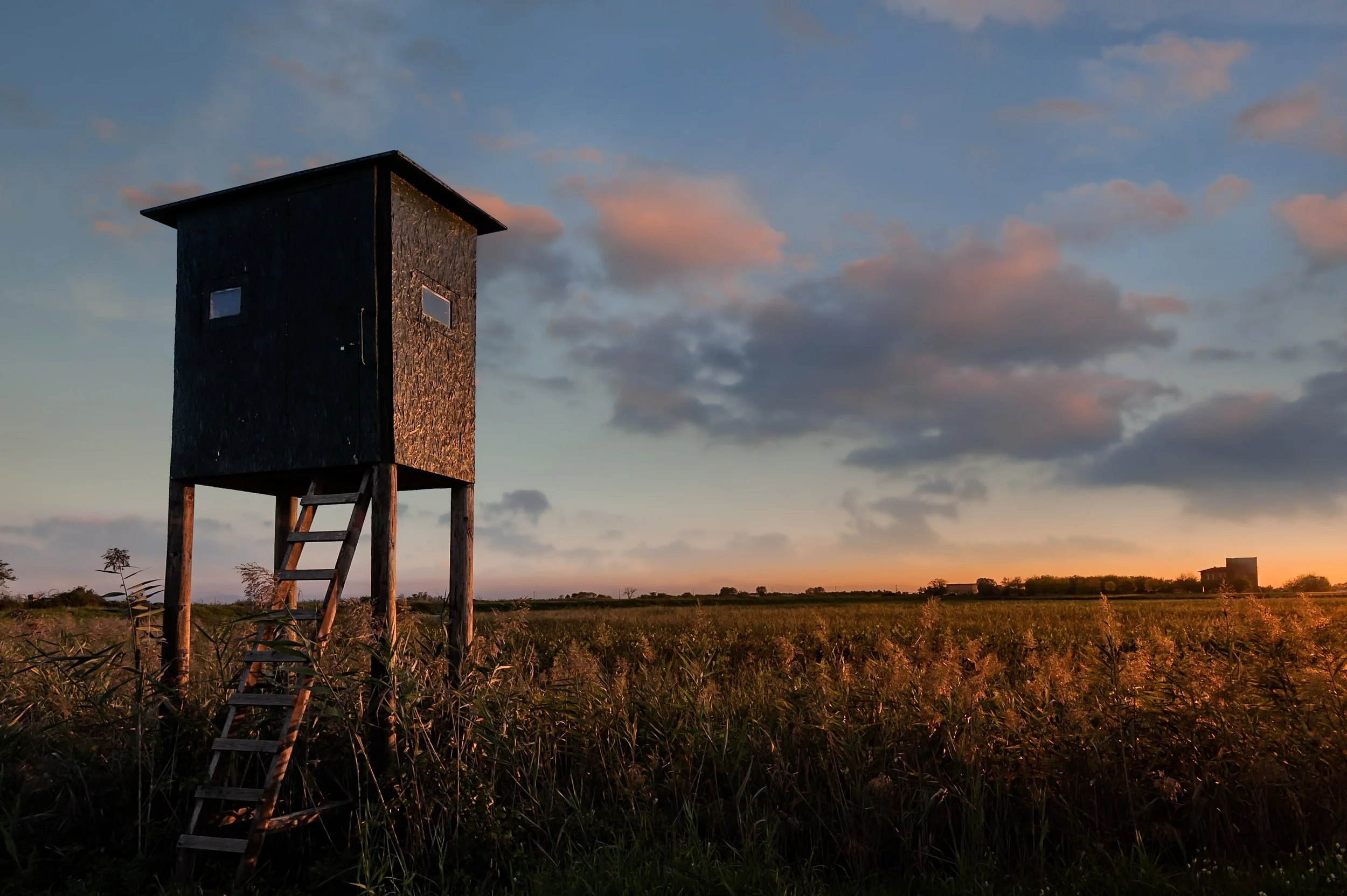 wooden-hunter-tower-high-seat-raised-shed-hunting-2023-11-27-05-17-16-utc-min.JPG